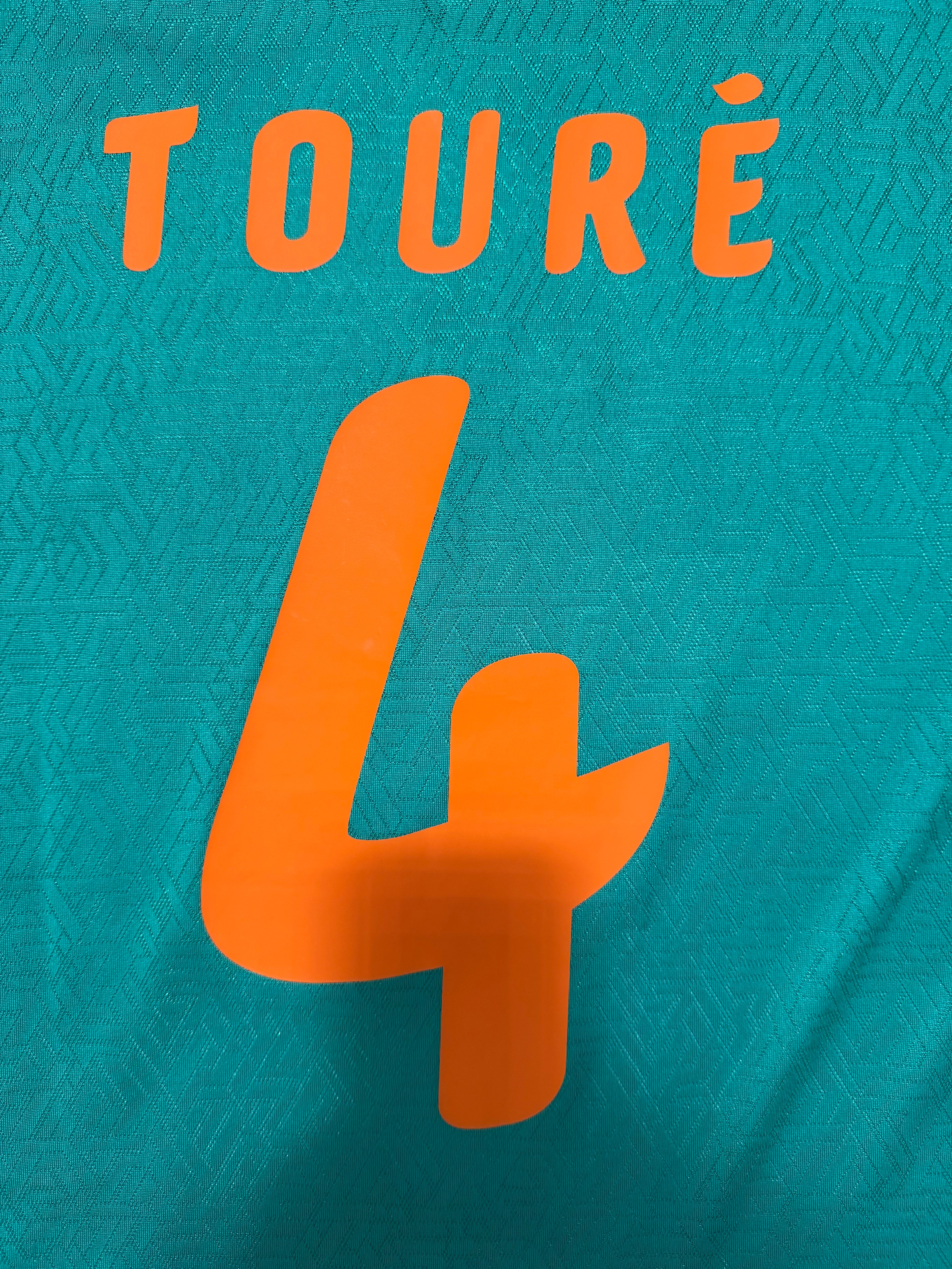 Elfenbeinküste WM 2010 #4 Kolo Touré