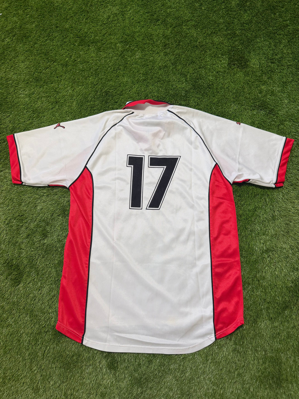 1. FC Köln 1998/1999