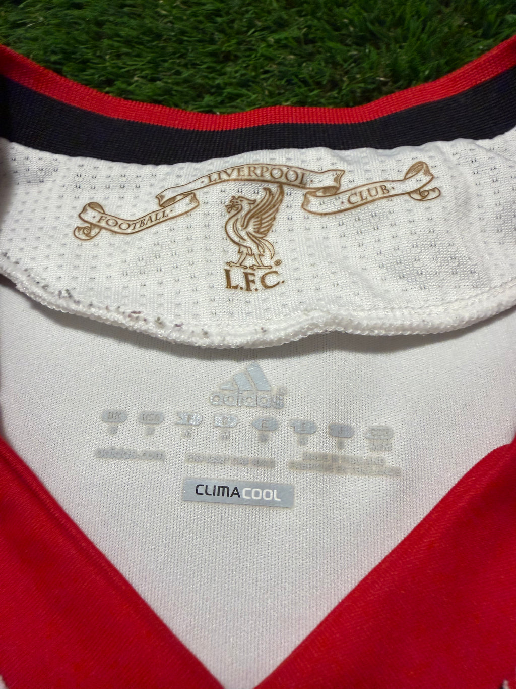 Liverpool FC 2010/2011