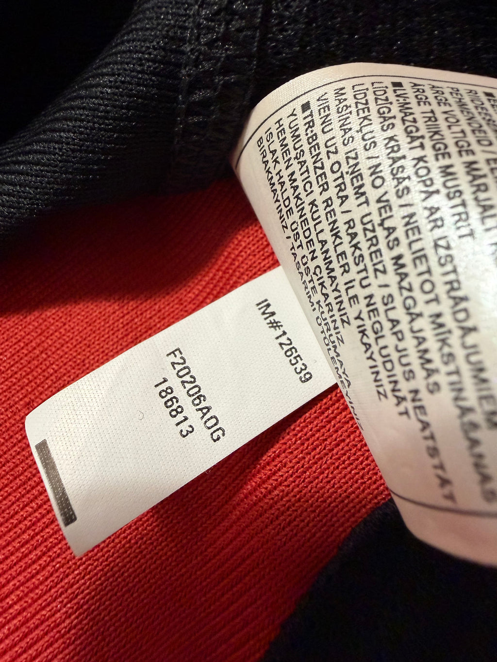 Hertha BSC 2001/2002