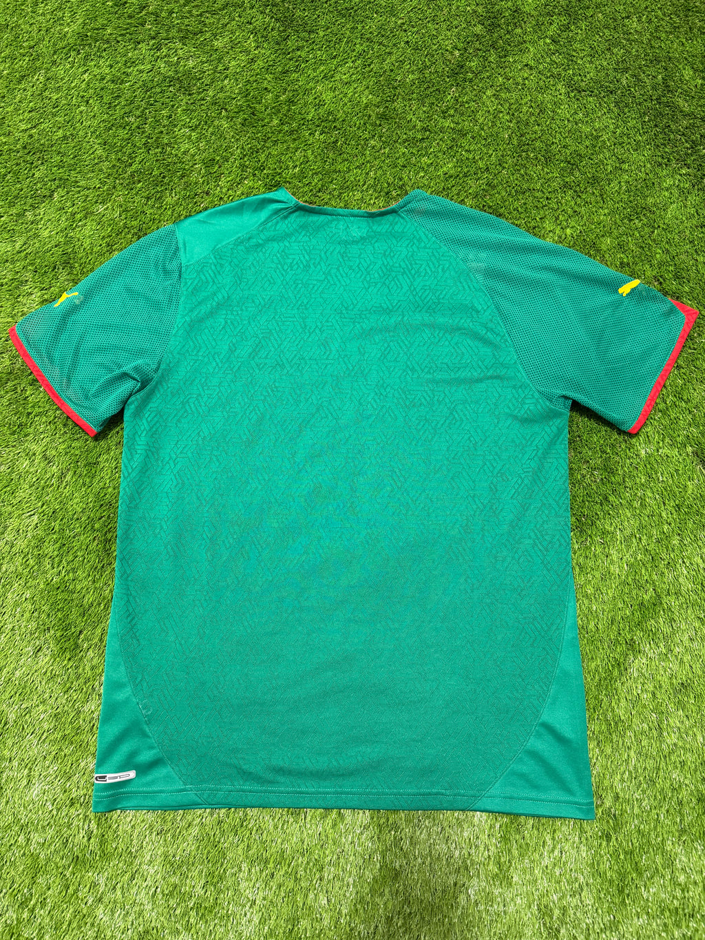 Kamerun WM 2010