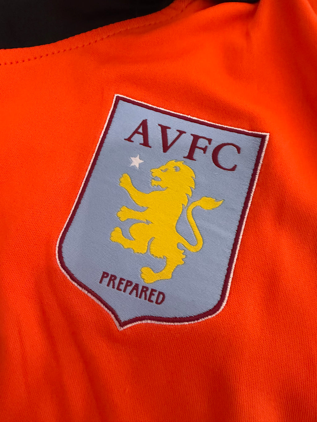 Aston Villa TW 2012/2013