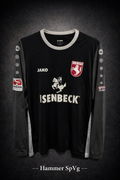 Hammer SpVg 2010er Spielertrikot #9 Wassinger