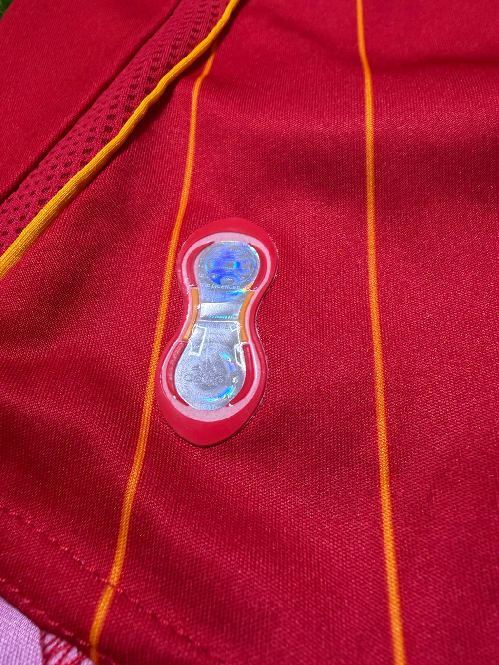 Spanien WM 2006 #9 Fernando Torres