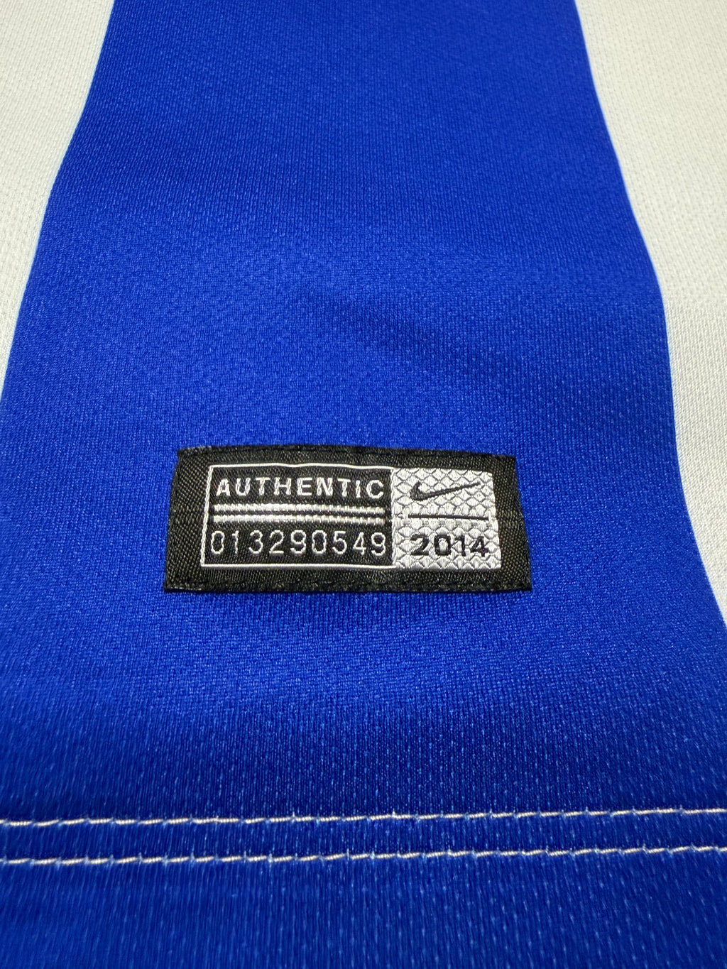 Hertha BSC 2014/2015