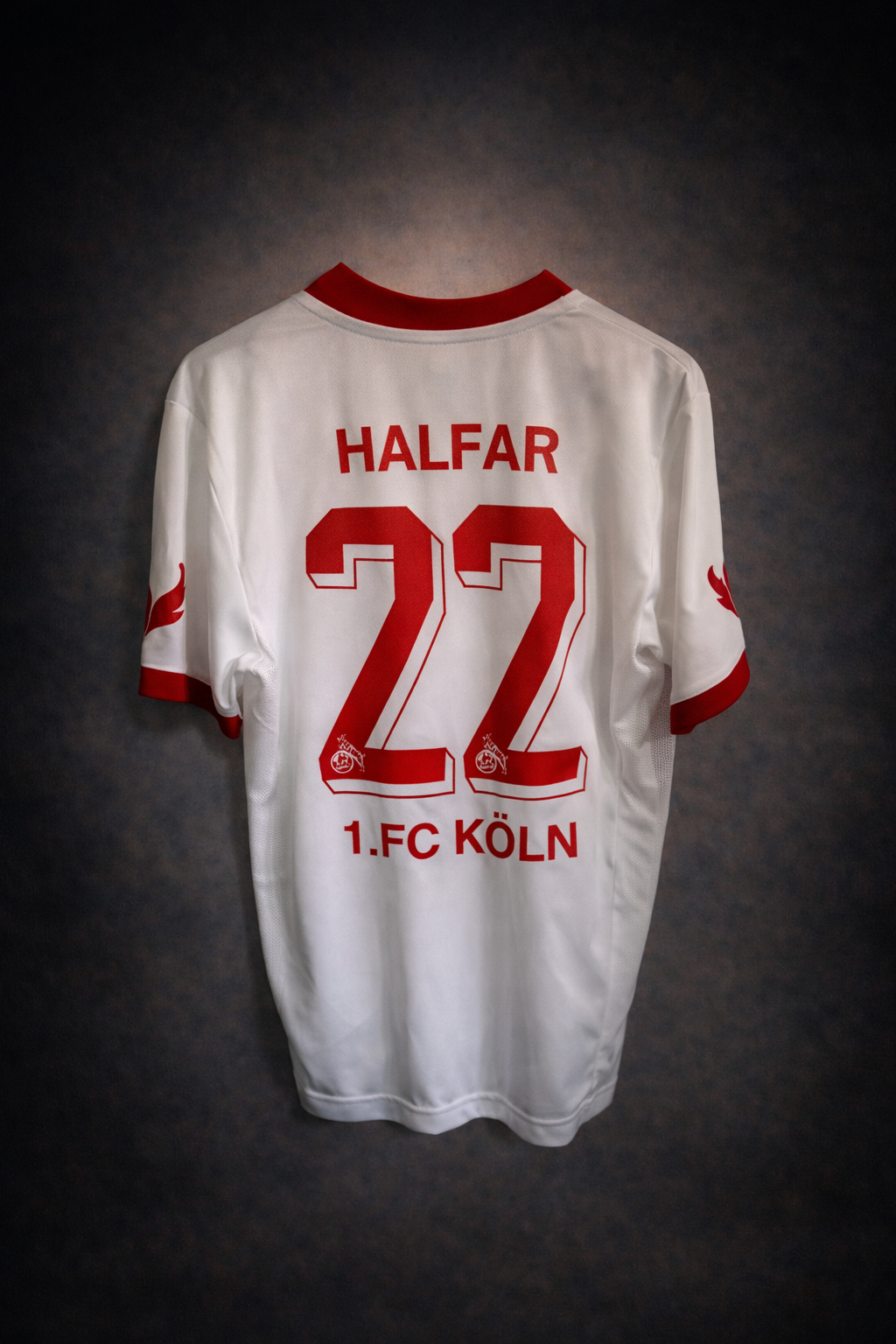 1. FC Köln 2013/2014 #22 Daniel Halfar