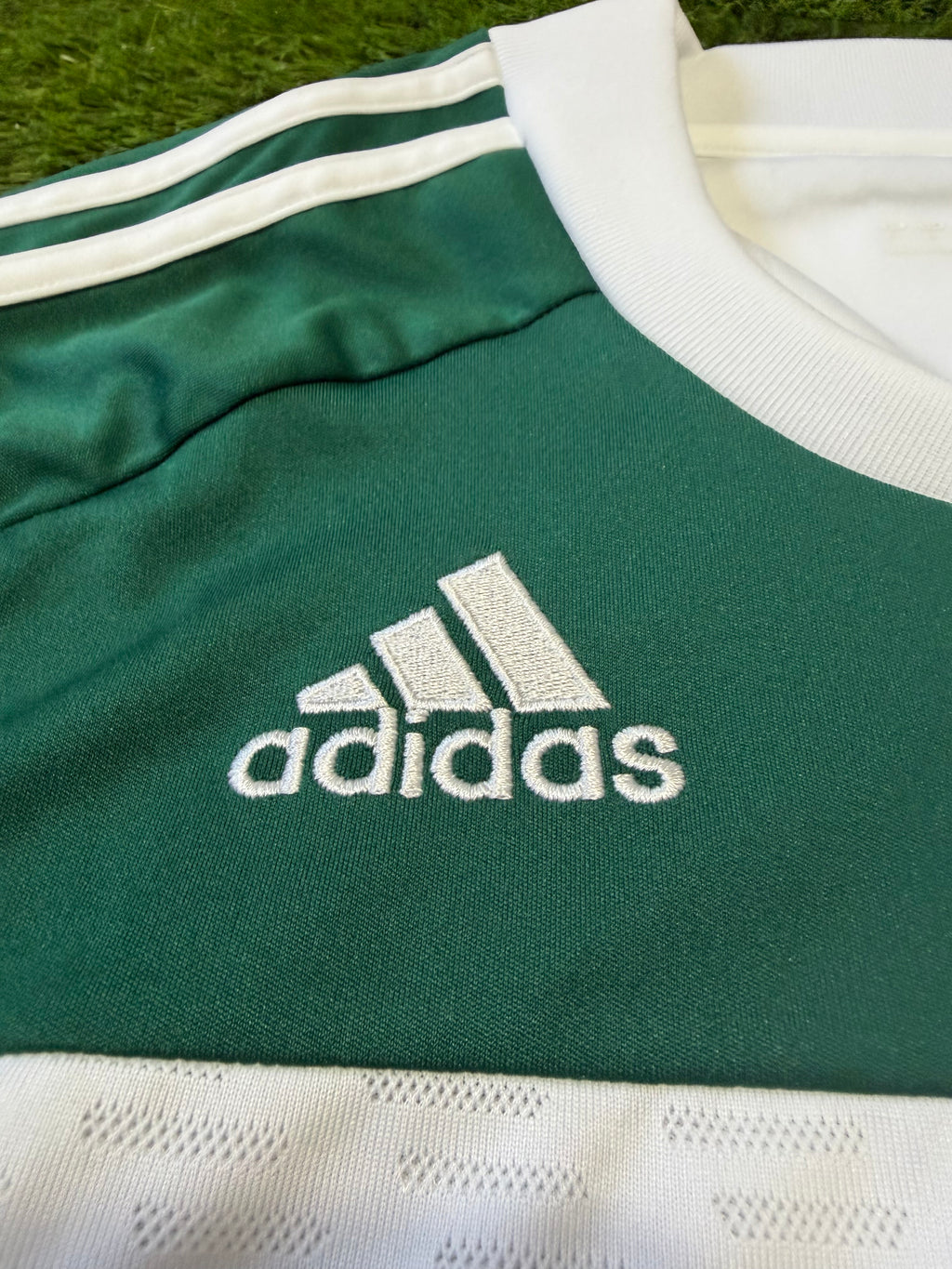 VFL Wolfsburg 2010/2011