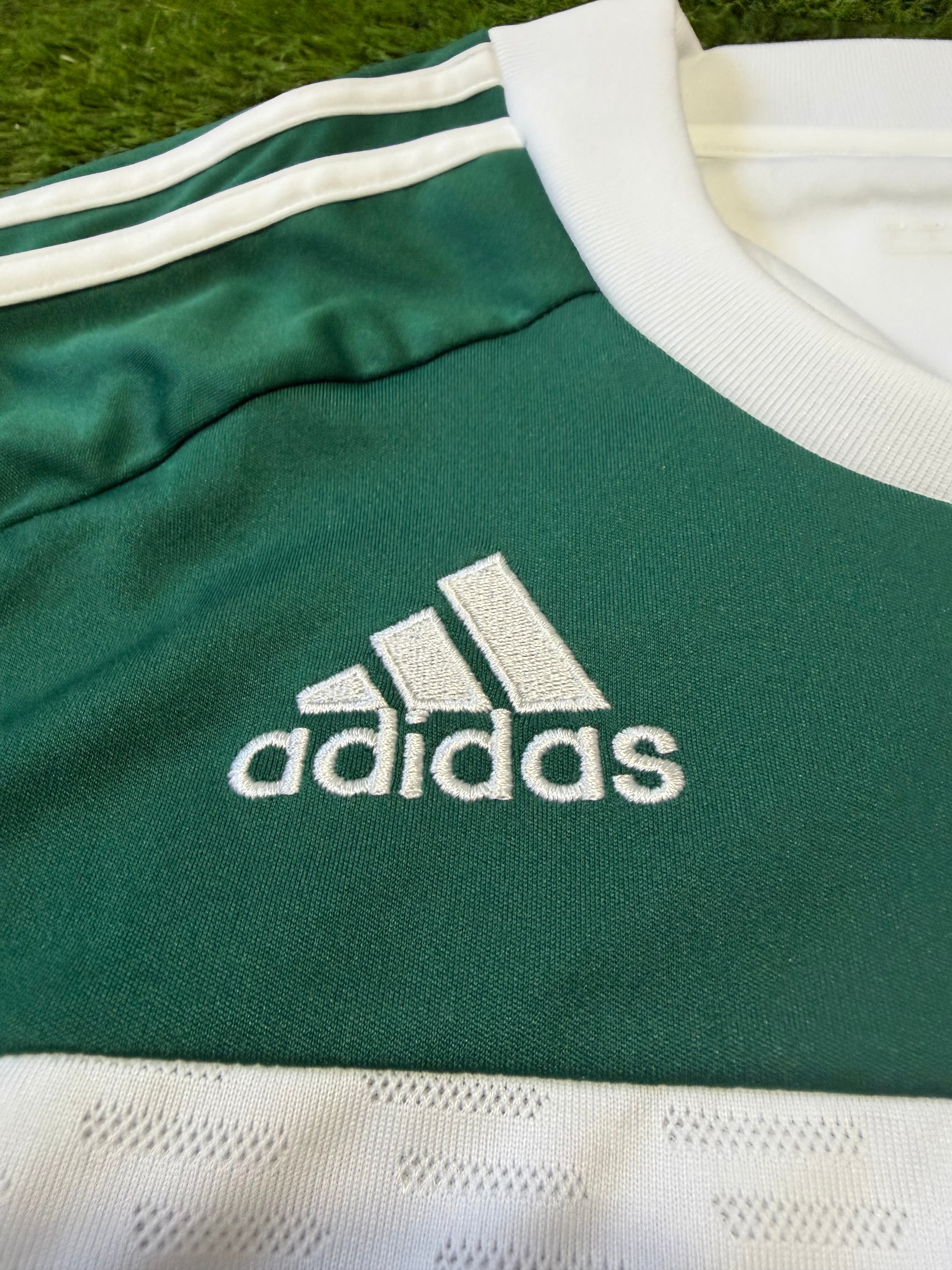 VFL Wolfsburg 2010/2011