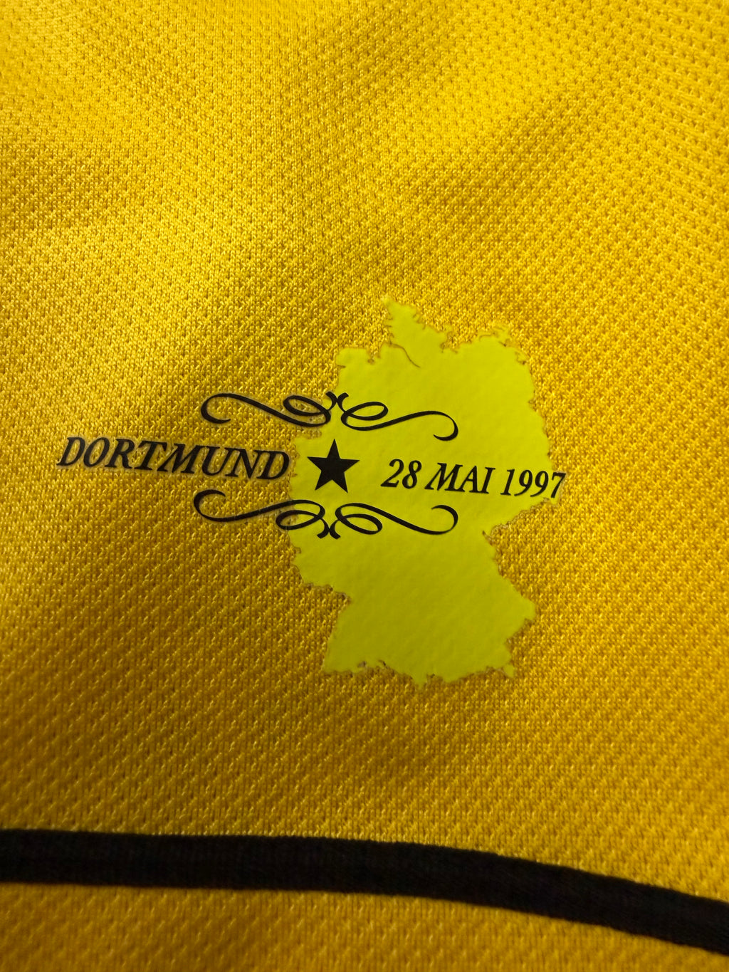 BVB Borussia Dortmund 2007/2008