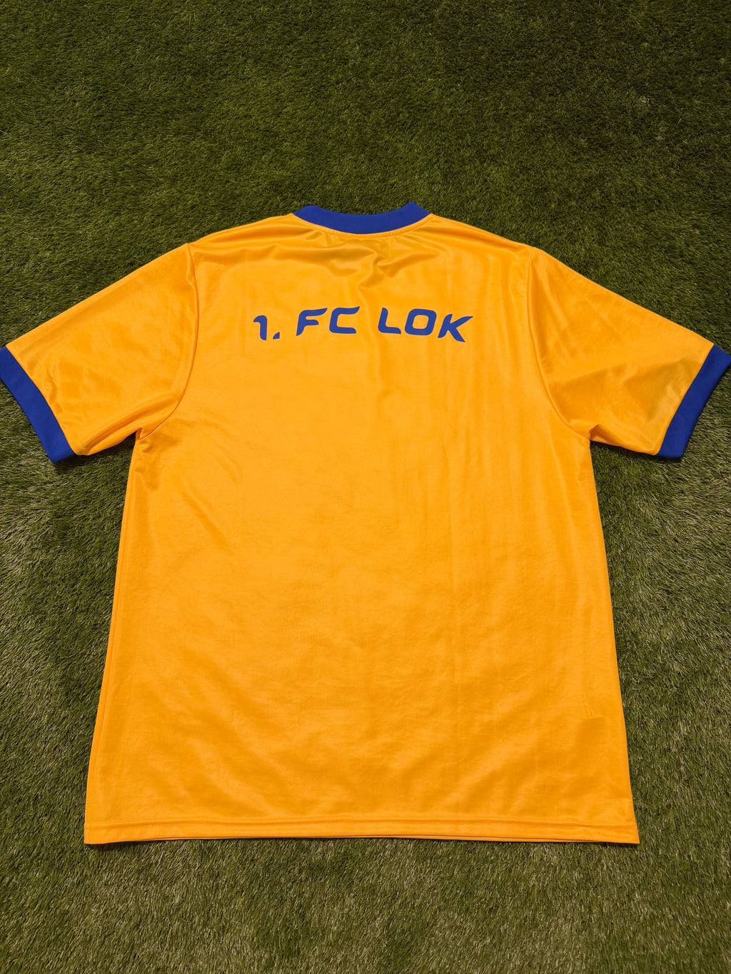 1. FC Lokomotive Leipzig 2007/2008