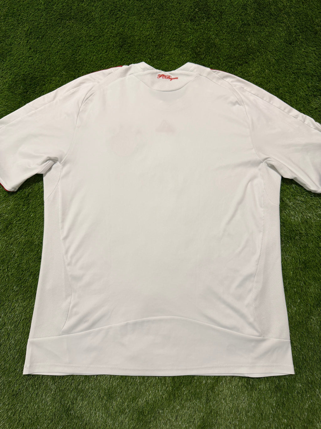 FC Bayern München 2008/2009