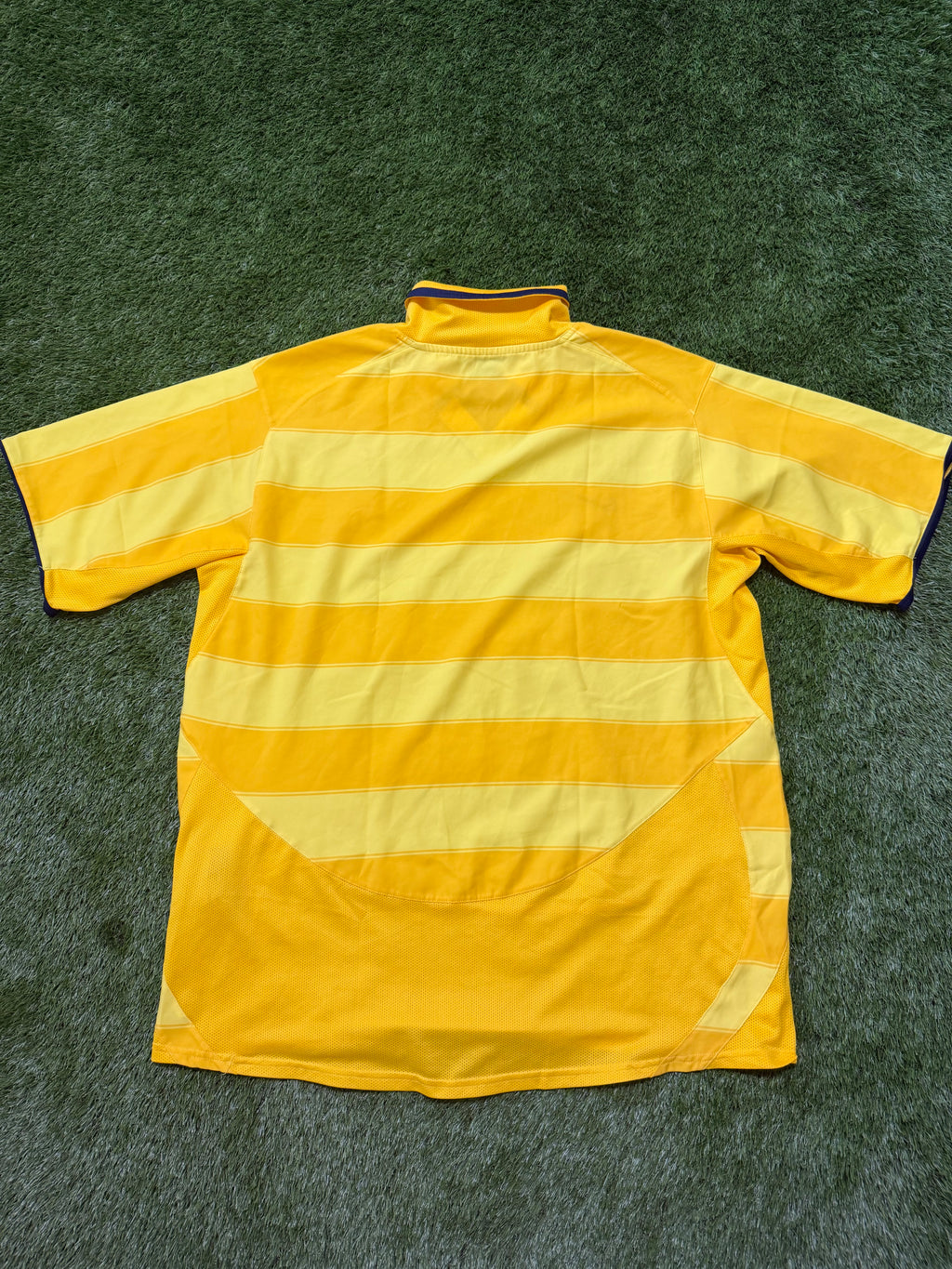 Inter Mailand 2003/2004