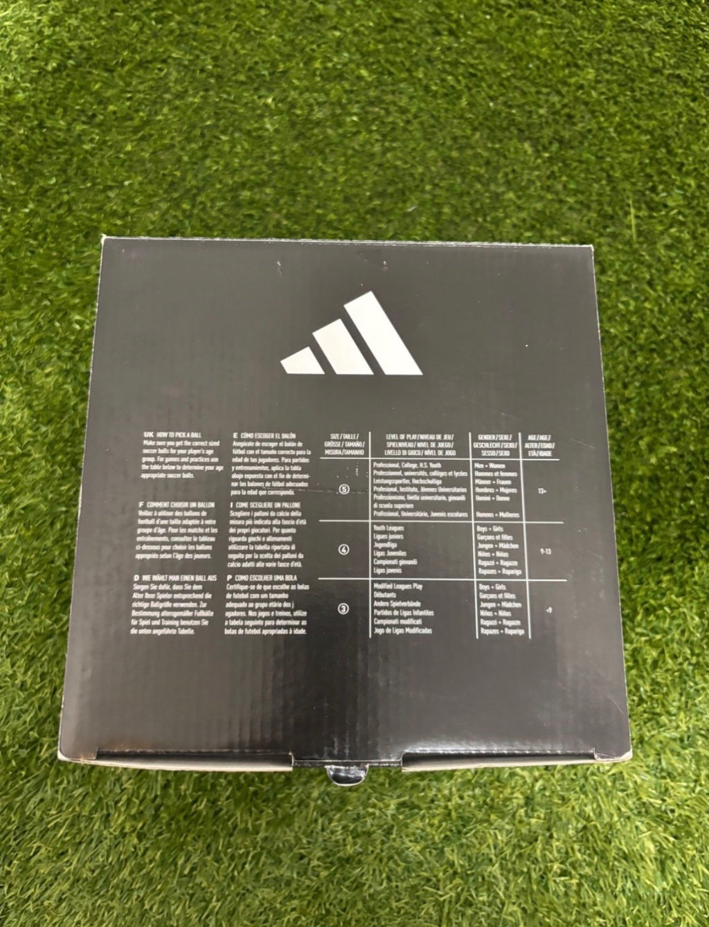 Roteiro Pro OMB EM 2004