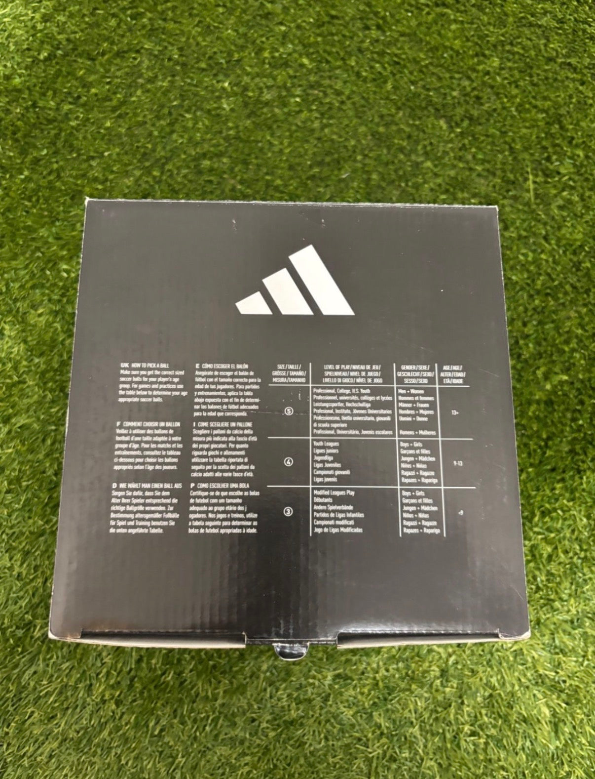 Roteiro Pro OMB EM 2004