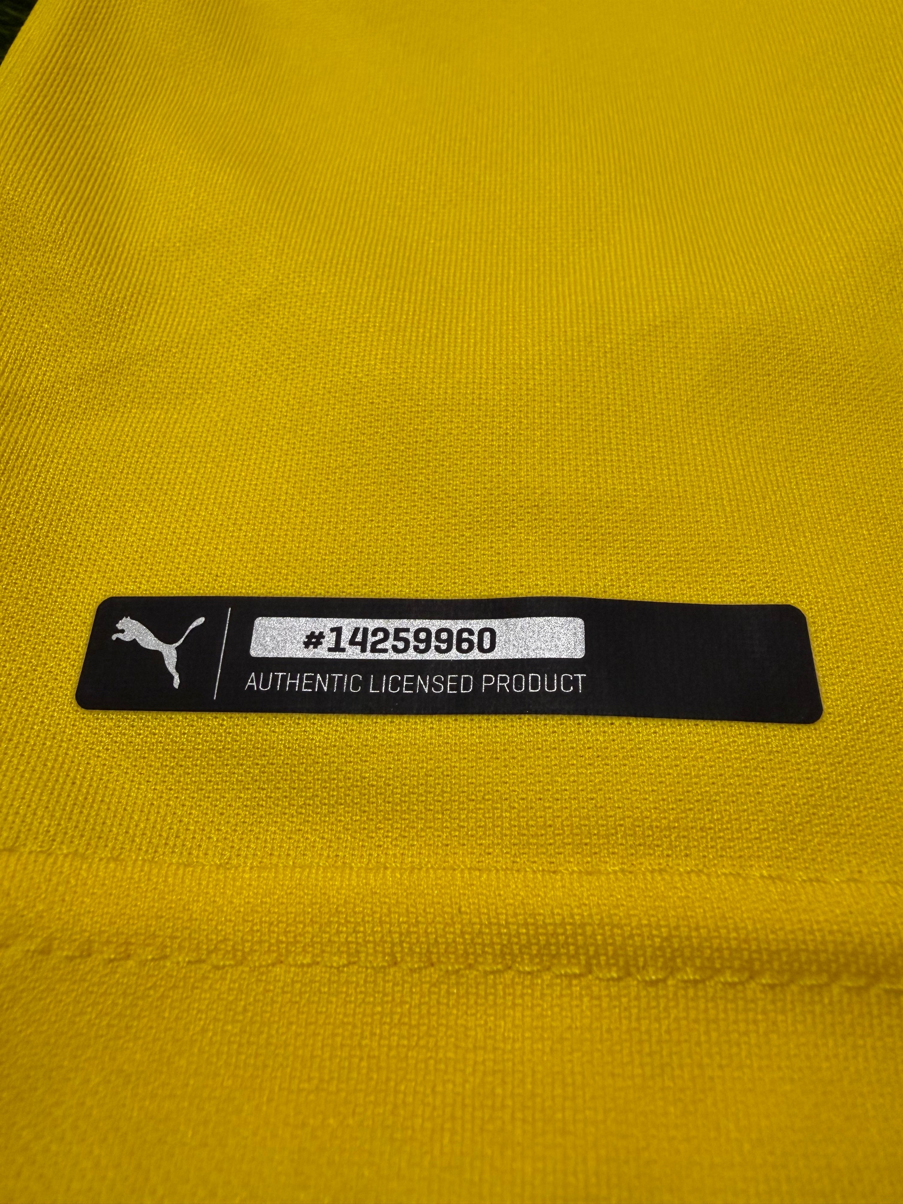 BVB Borussia Dortmund 2018/2019 #9 Paco Alcacer