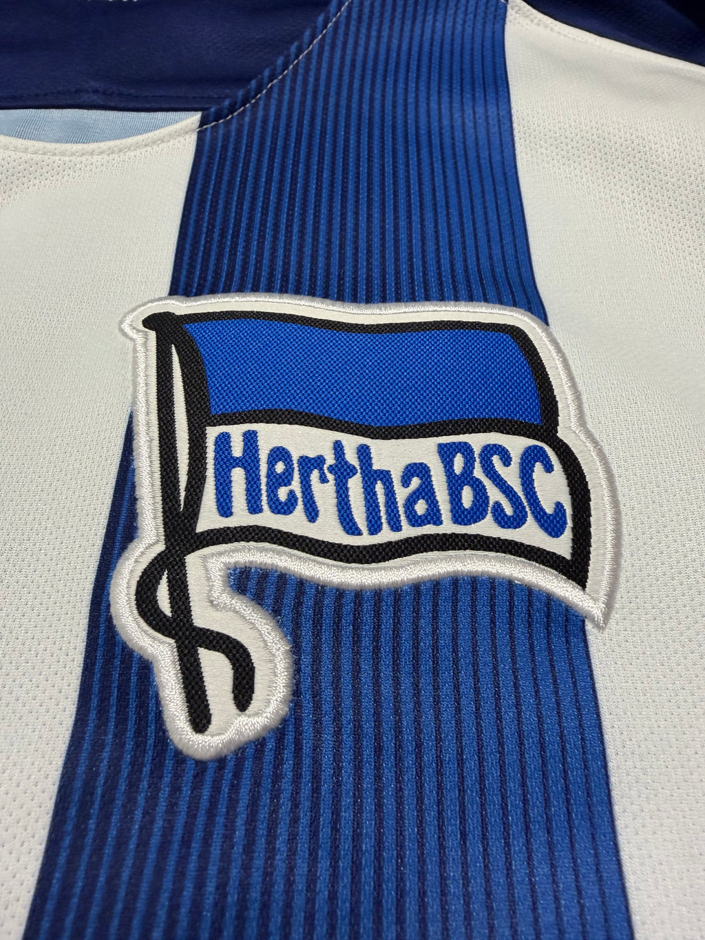 Hertha BSC 2016/2017 #19 Vedad Ibišević