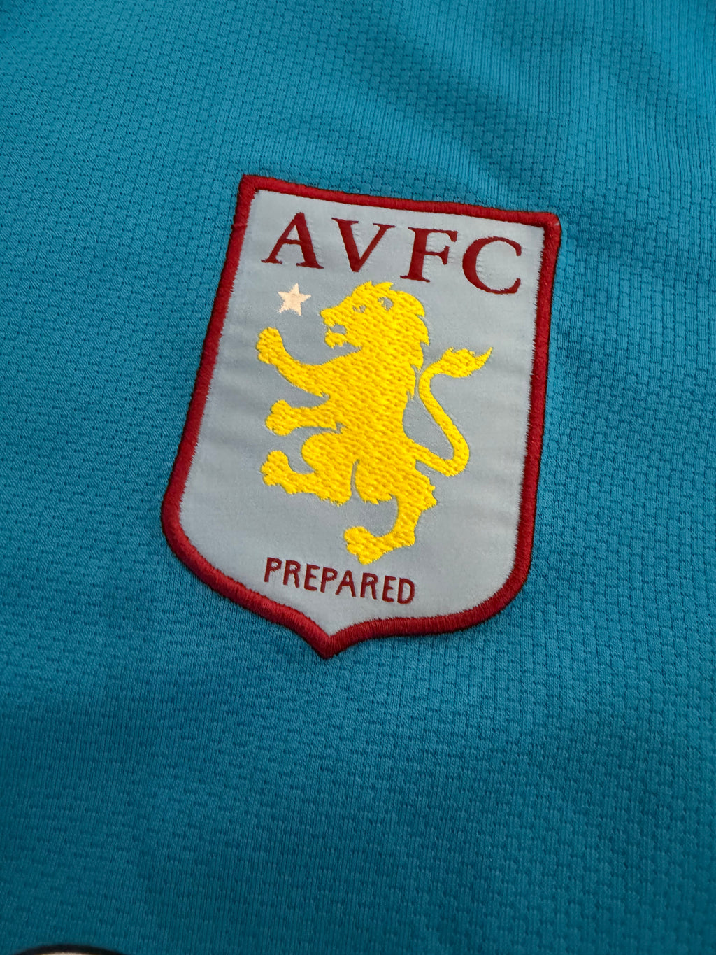 Aston Villa 2008/2009