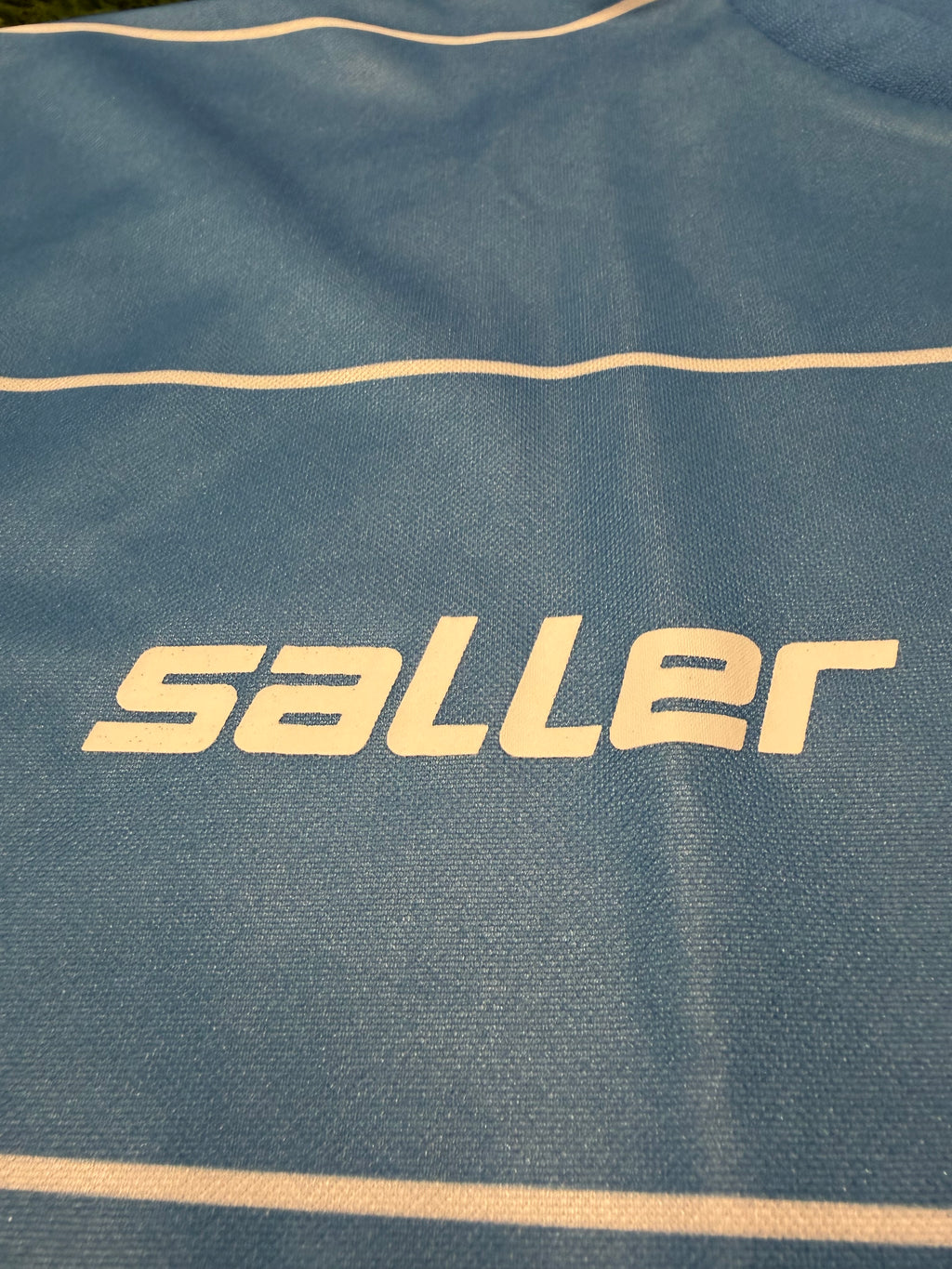 Chemnitzer FC 2011/2012