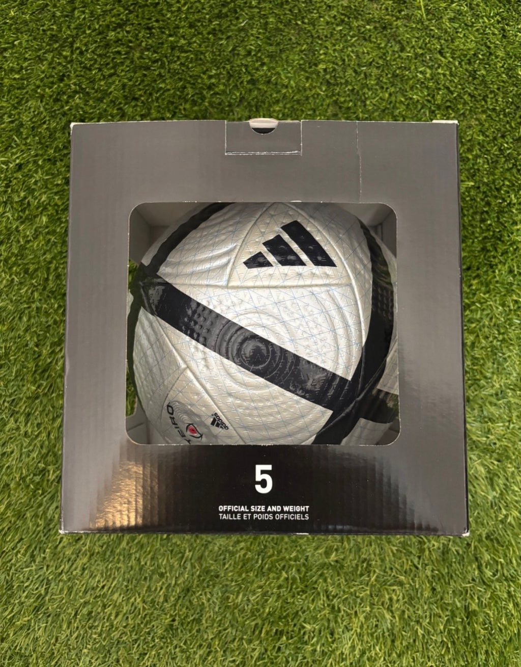 Roteiro Pro OMB EM 2004