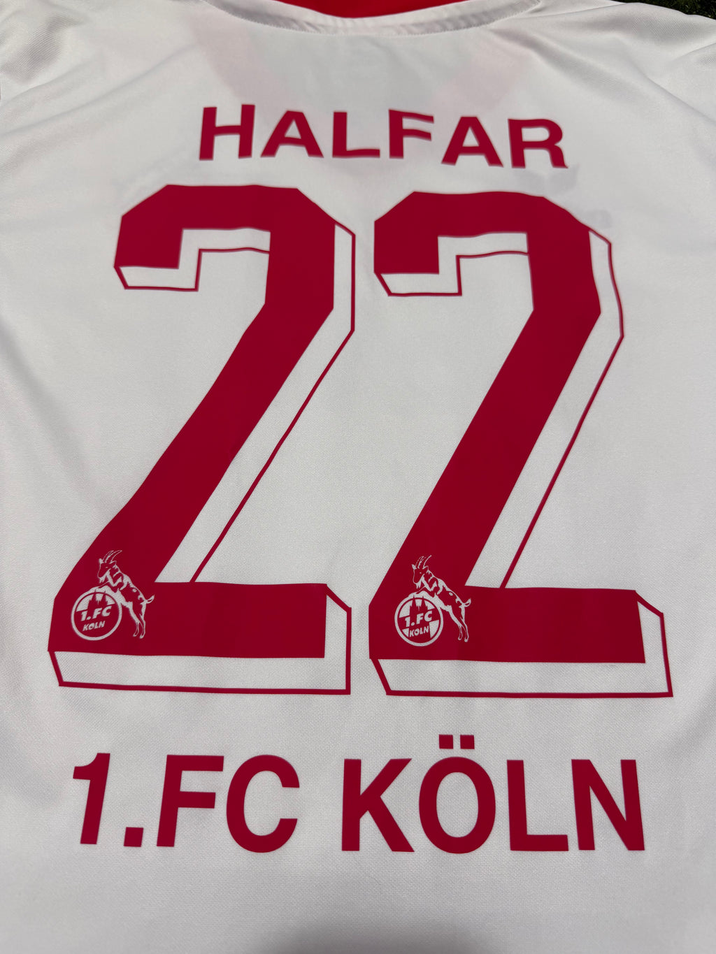 1. FC Köln 2013/2014 #22 Daniel Halfar