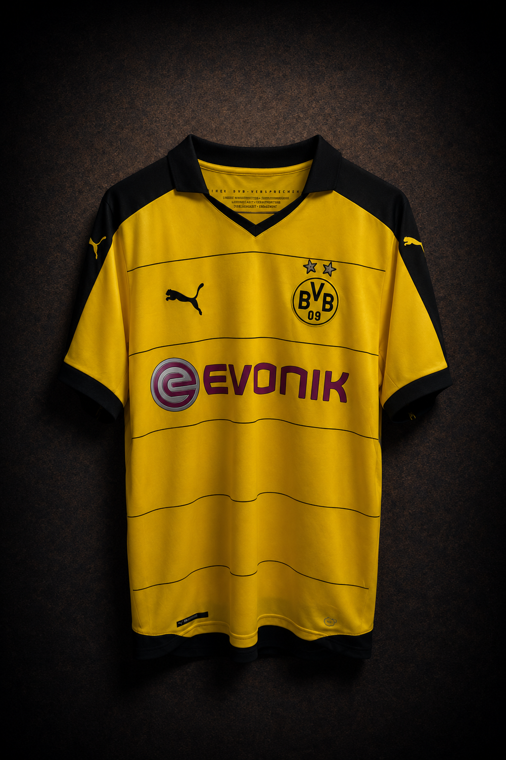 BVB Borussia Dortmund 2015/2016