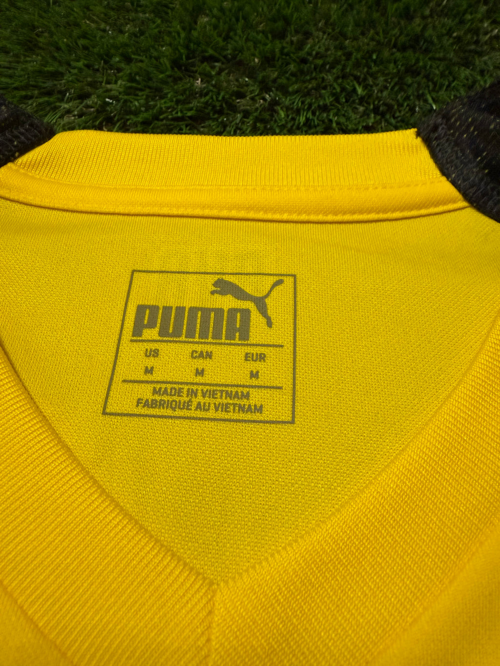 BVB Borussia Dortmund 2018/2019 #9 Paco Alcacer