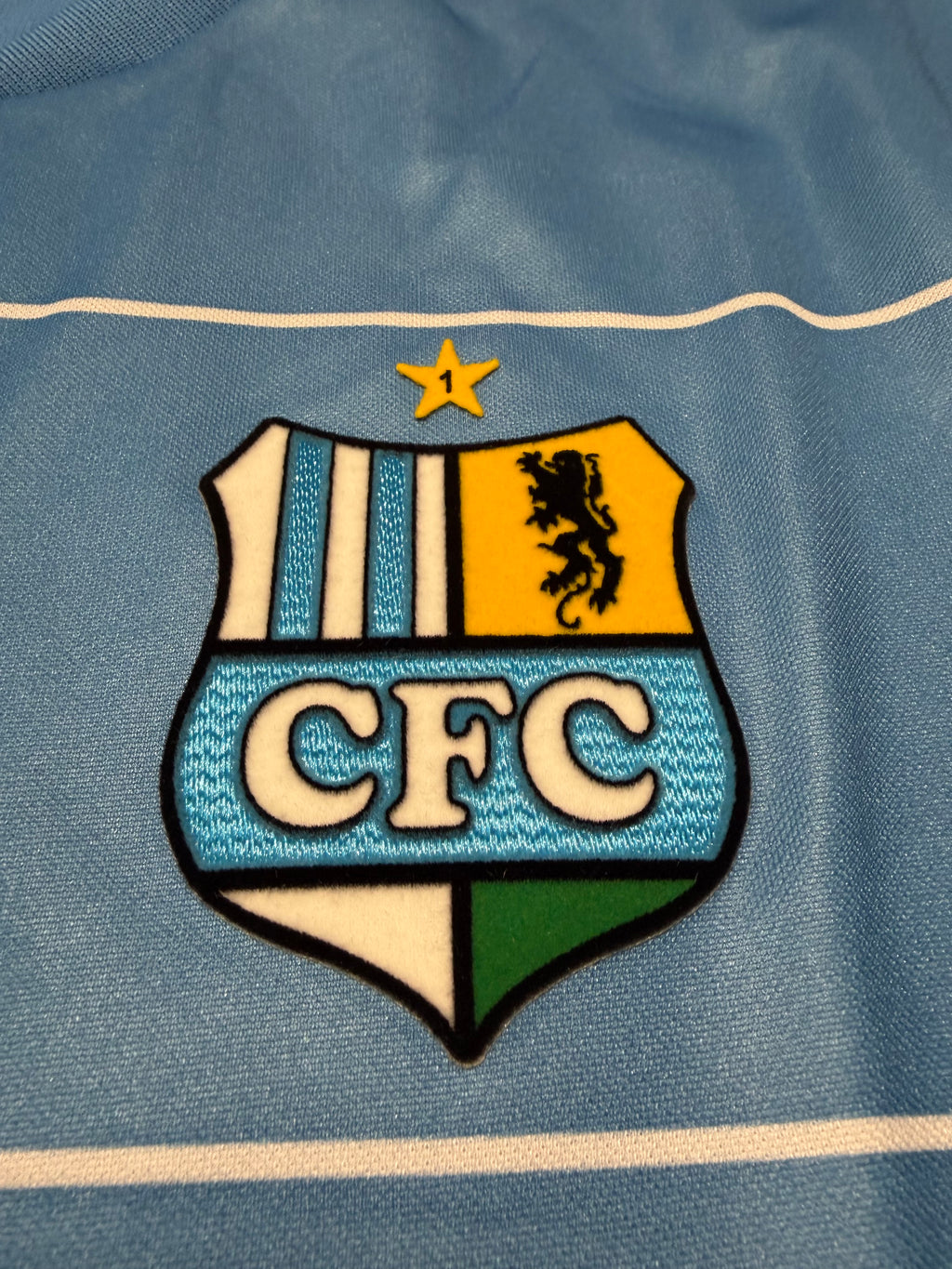 Chemnitzer FC 2011/2012