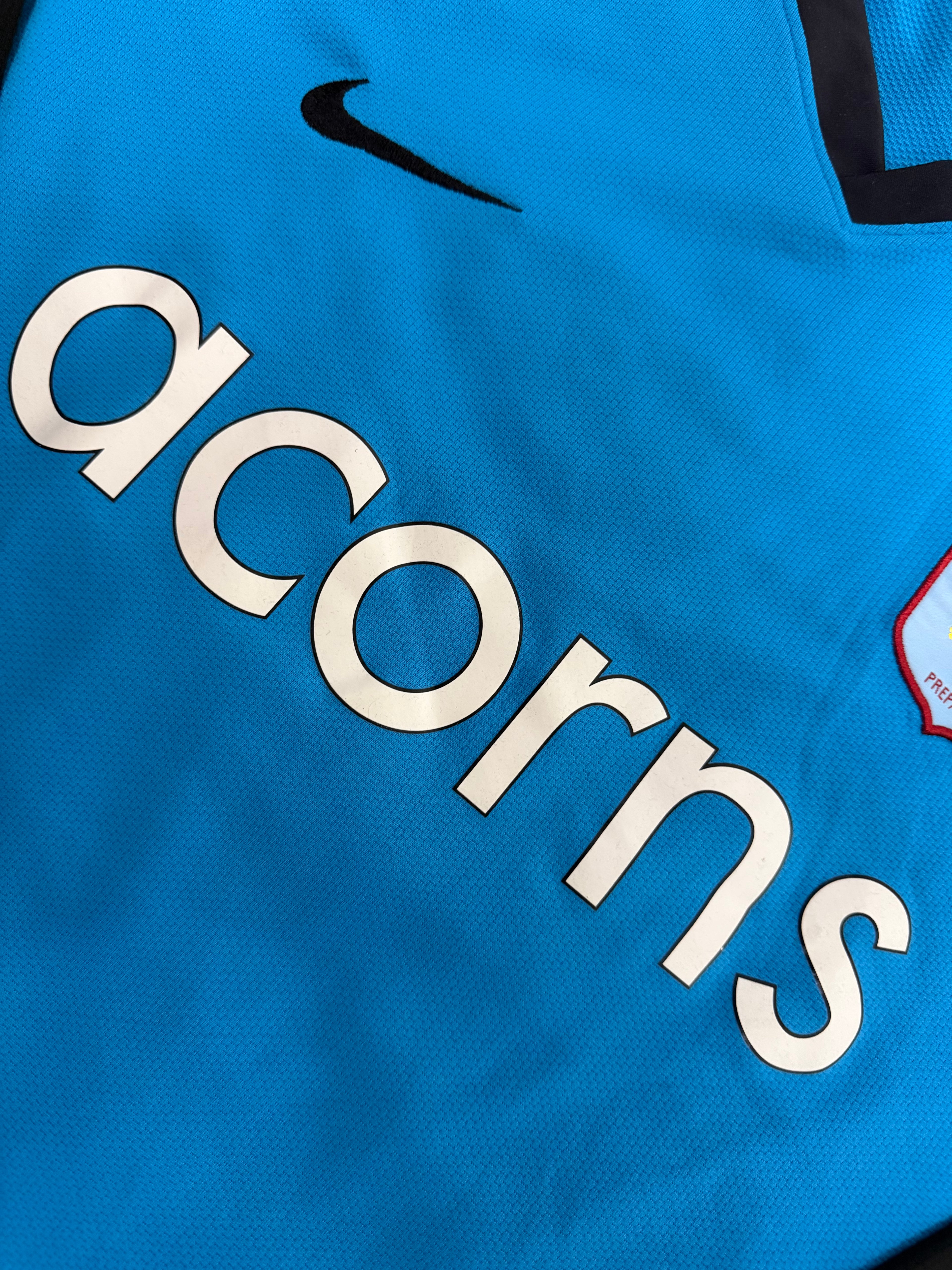 Aston Villa 2008/2009