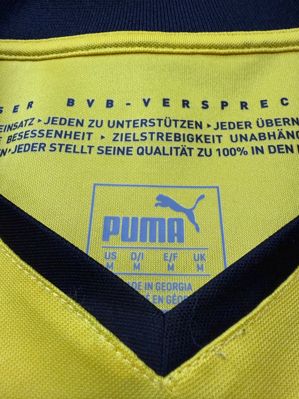 BVB Borussia Dortmund 2015/2016