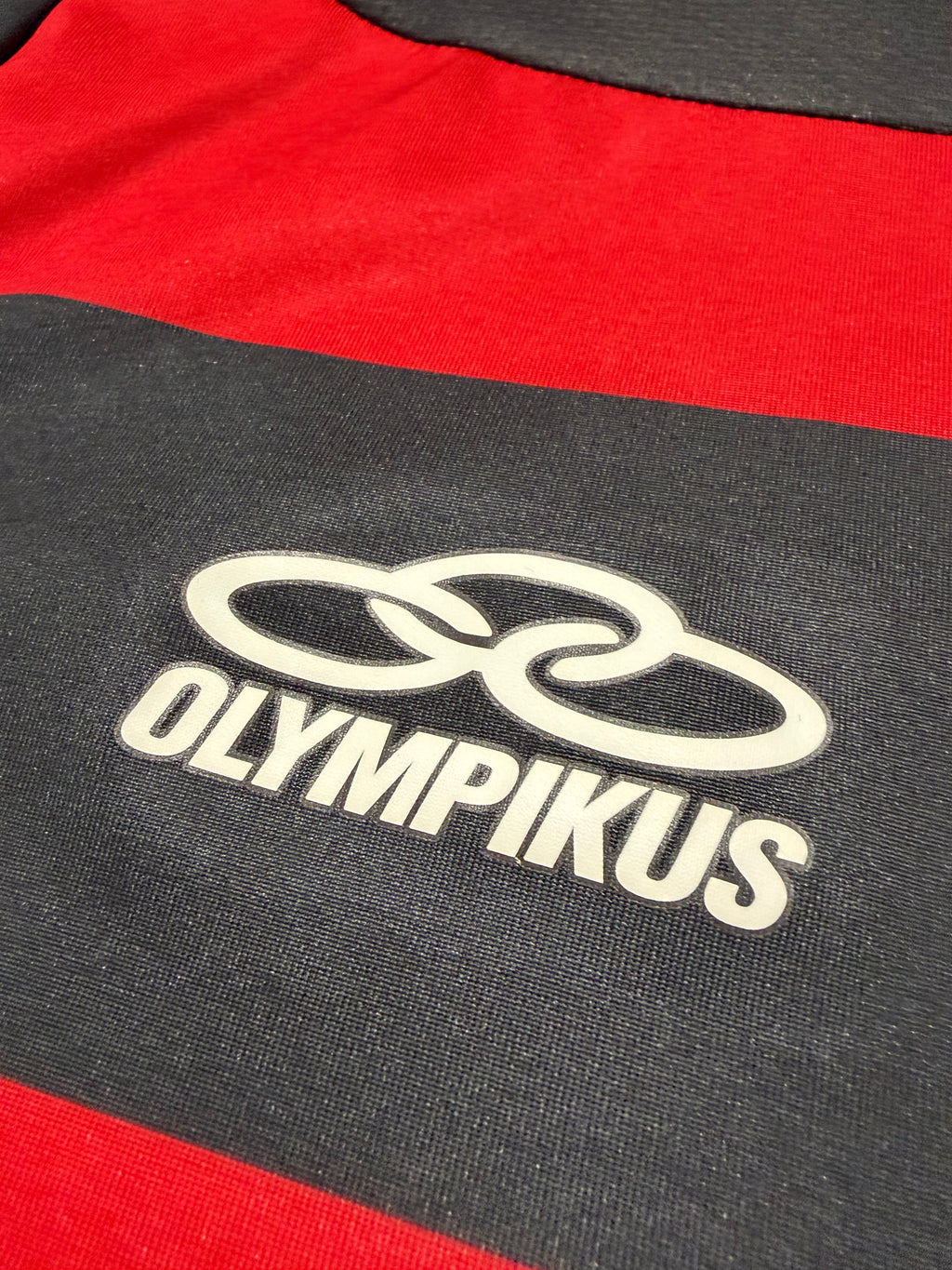 Flamengo Rio de Janeiro 2009/2010