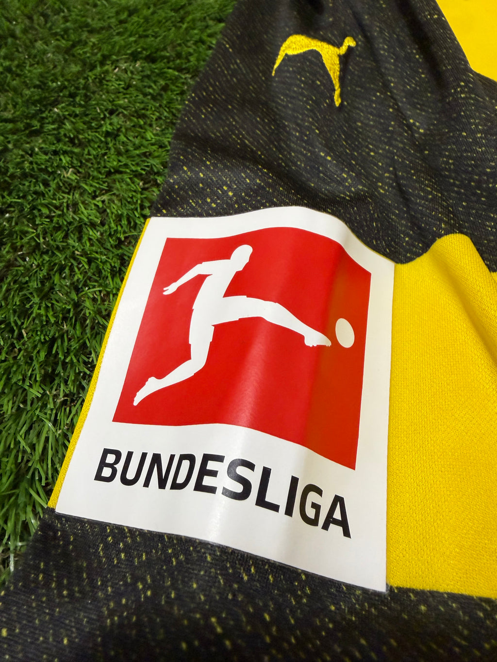 BVB Borussia Dortmund 2018/2019 #9 Paco Alcacer