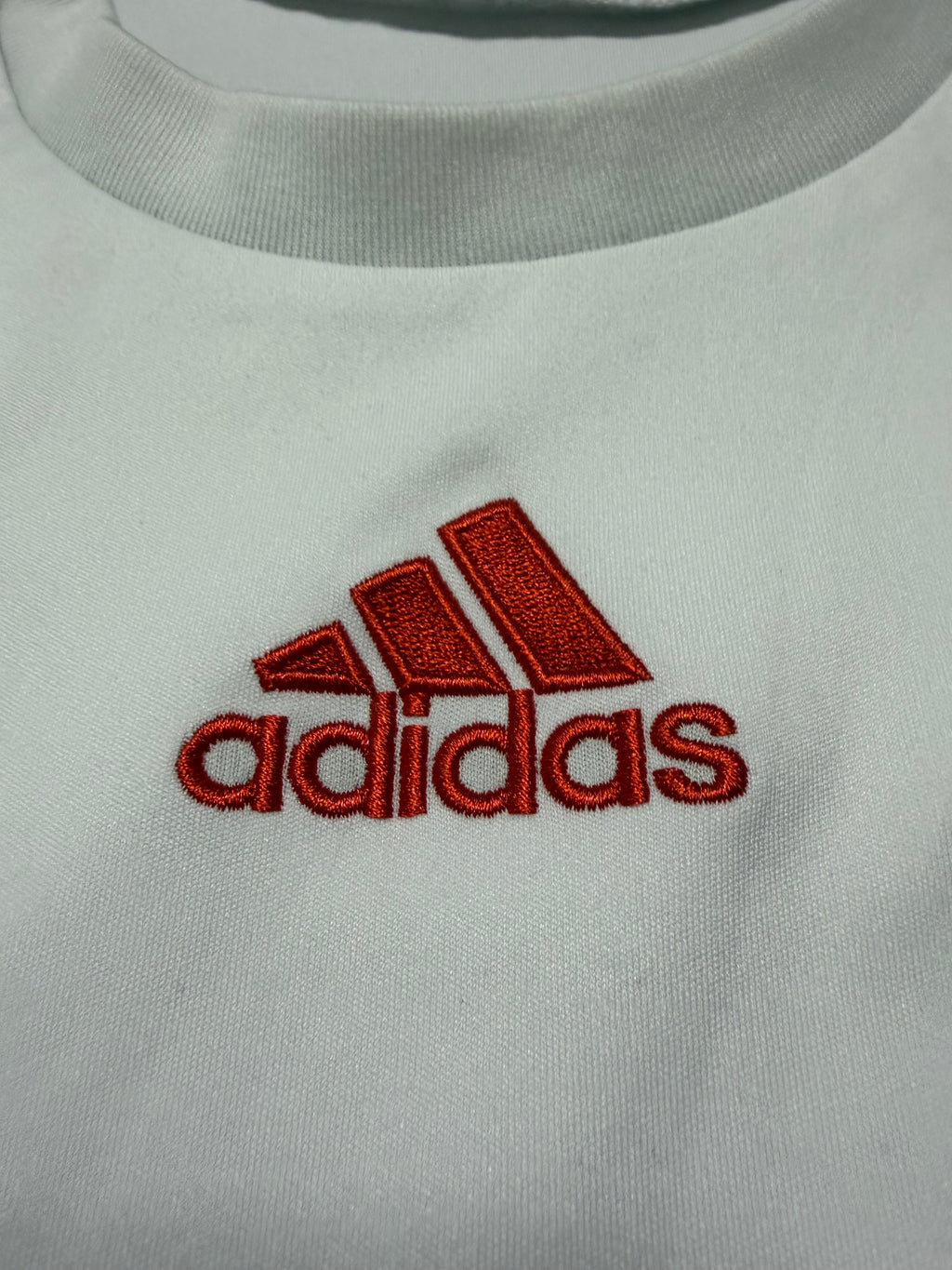 FC Bayern München 2008/2009