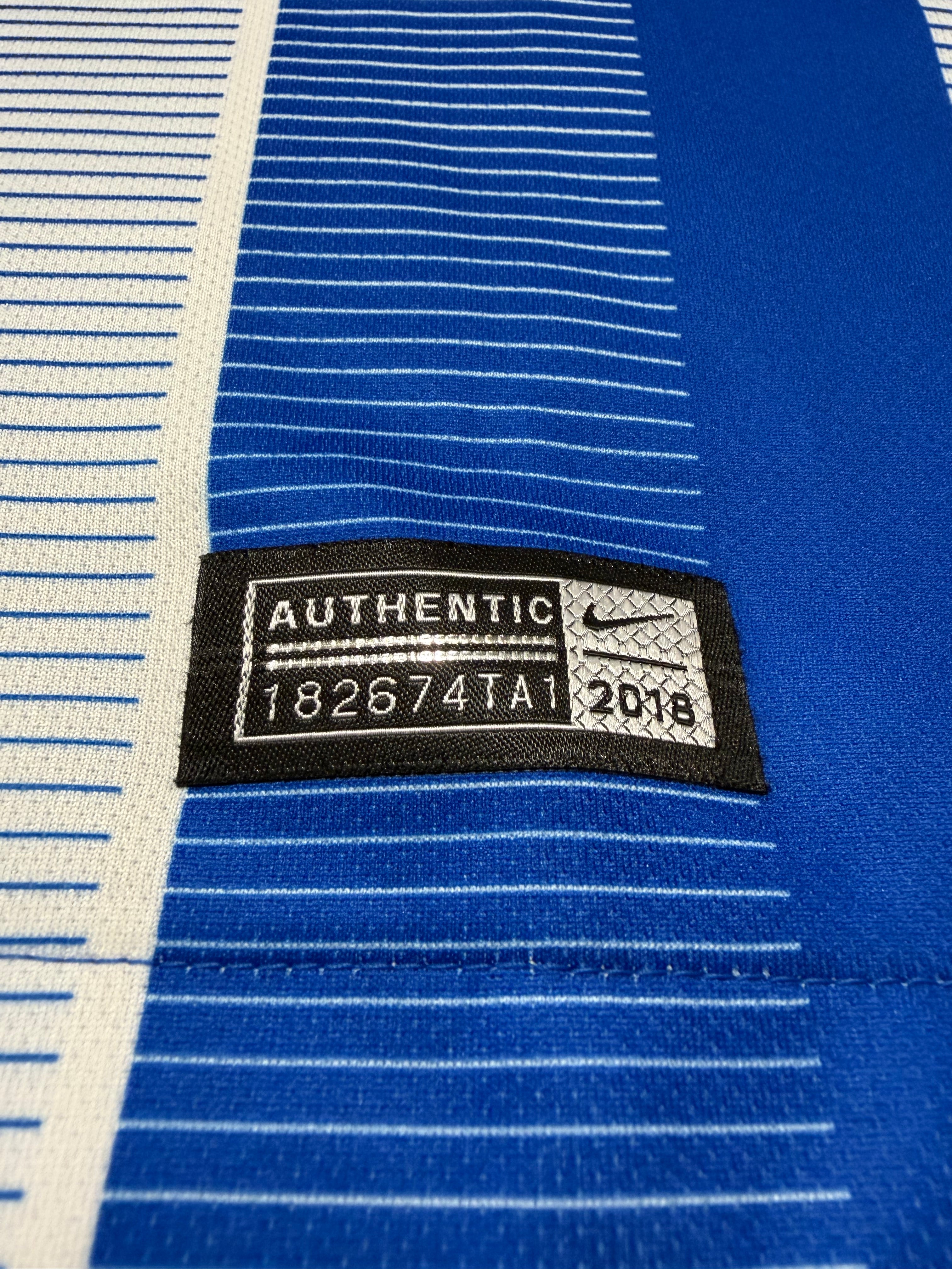 Hertha BSC 2018/2019