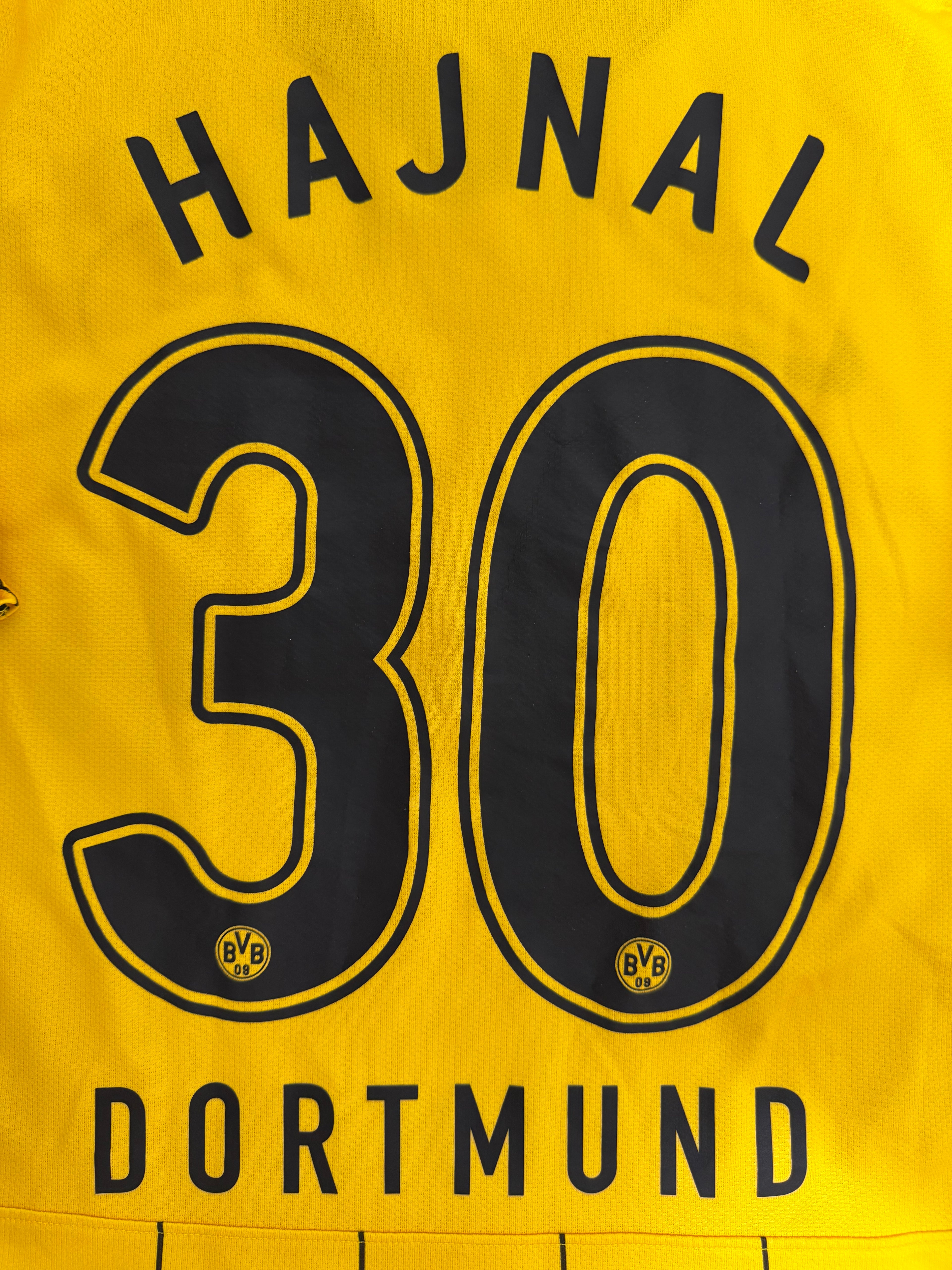 BVB Borussia Dortmund 2008/2009 #30 Tamás Hajnal