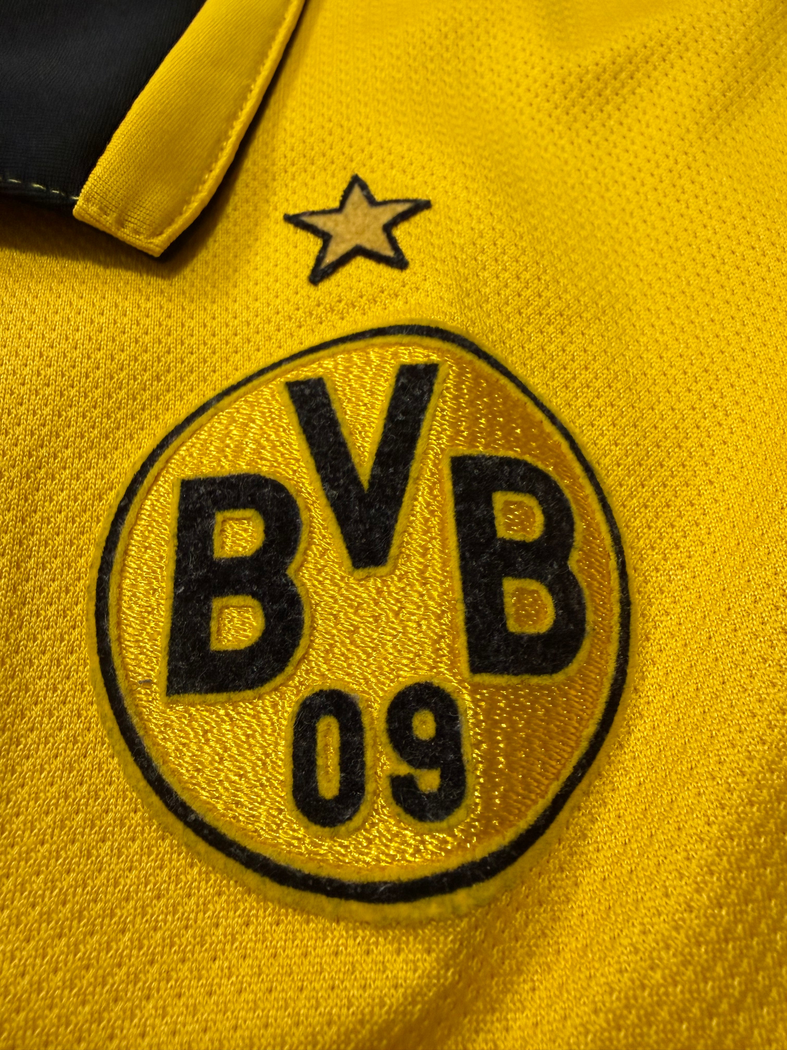 BVB Borussia Dortmund 2007/2008