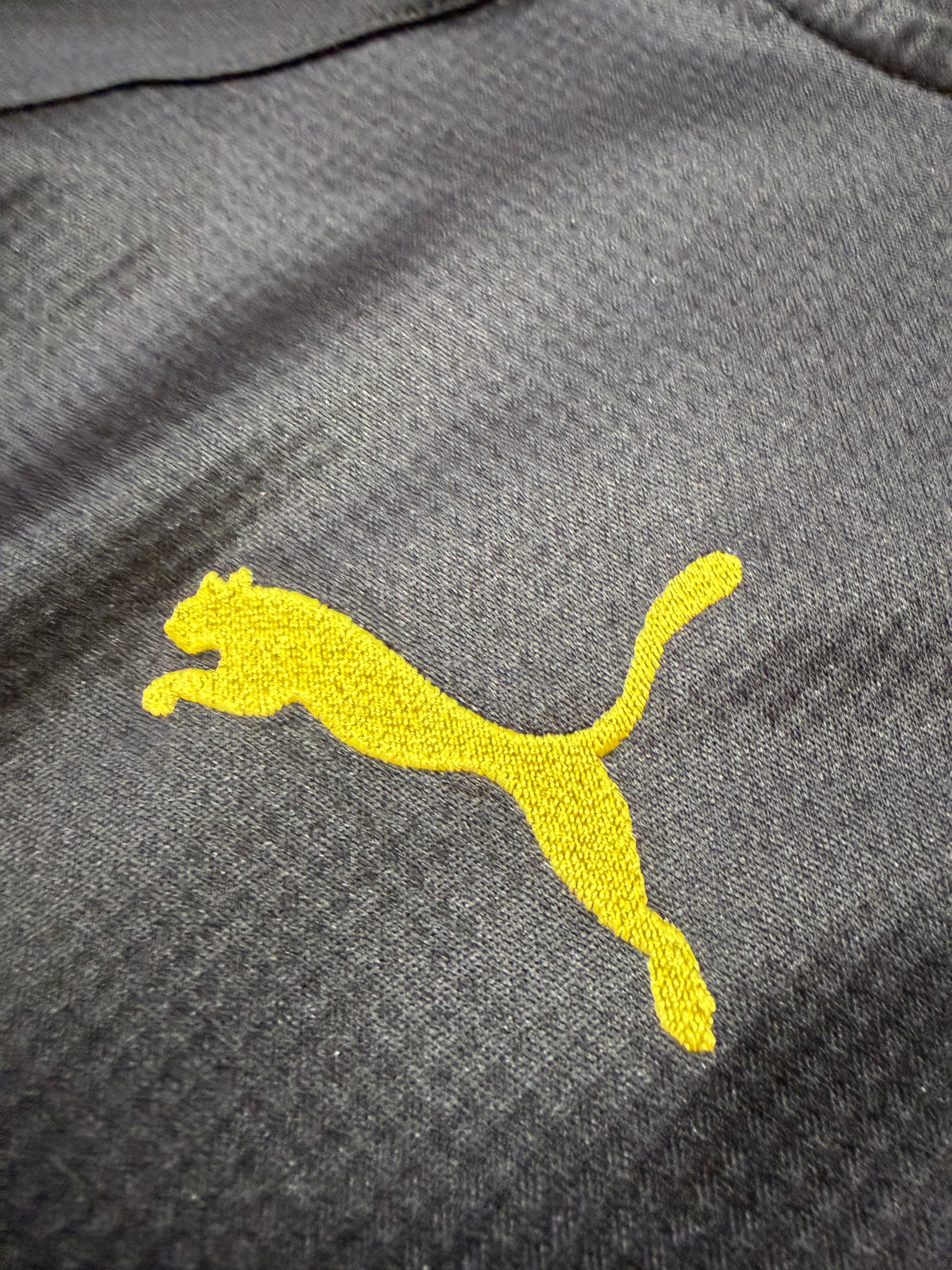 BVB Borussia Dortmund 2020/2021