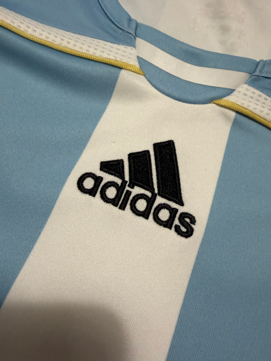 Argentinien WM 2006 #11 Carlos Tevez