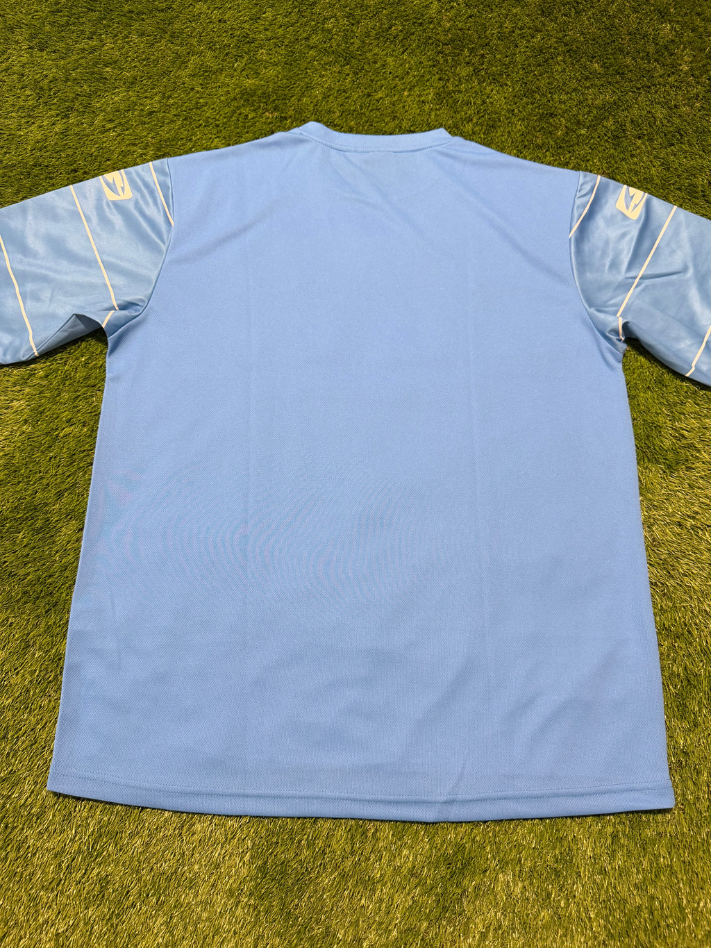 Chemnitzer FC 2011/2012