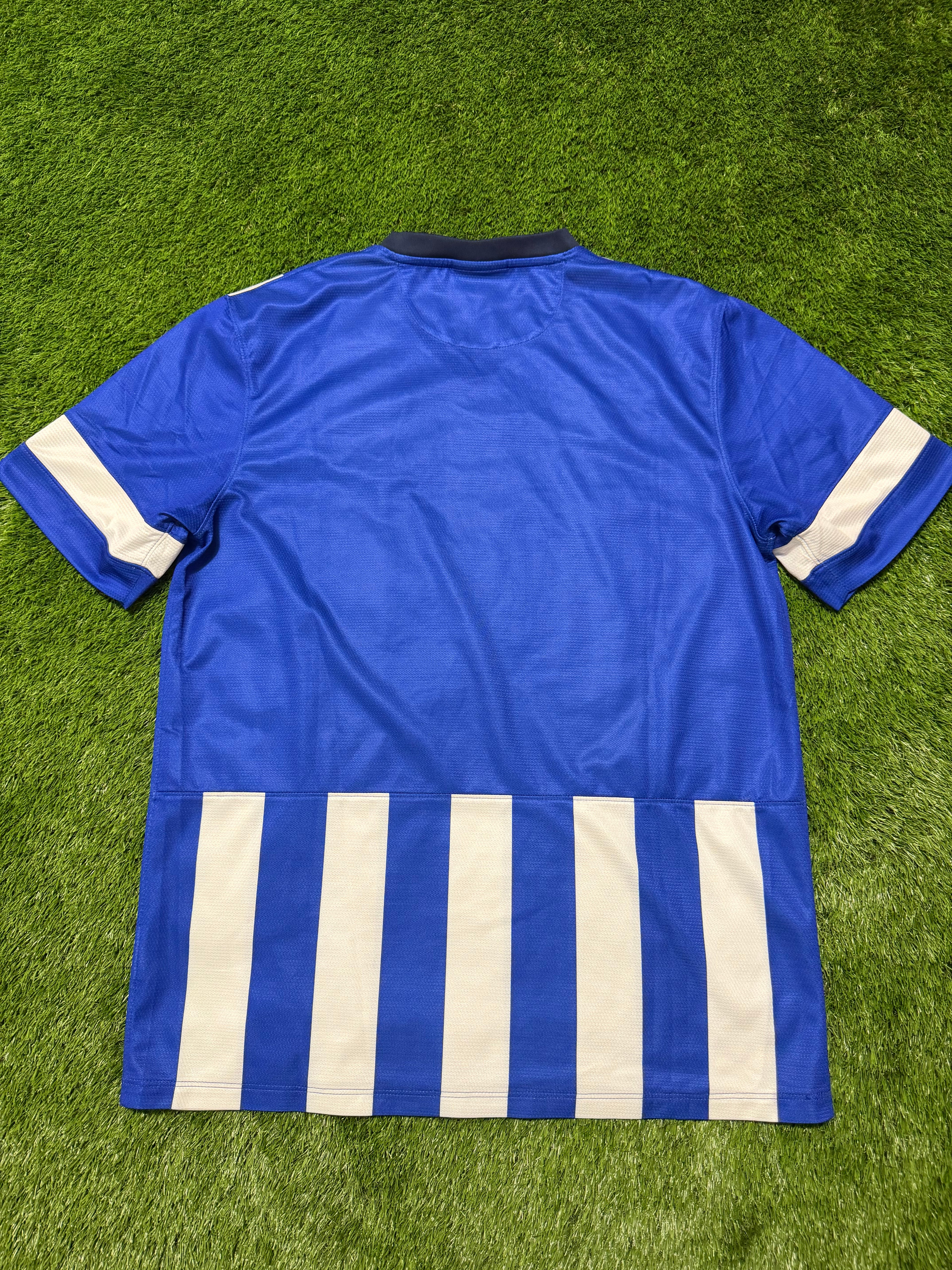 Hertha BSC 2013/2014