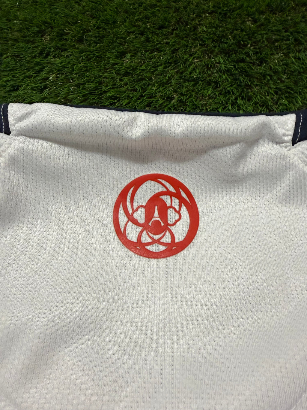 PSG Paris Saint Germain 2007/2008