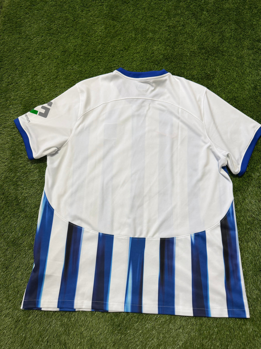 Hertha BSC 2023/2024