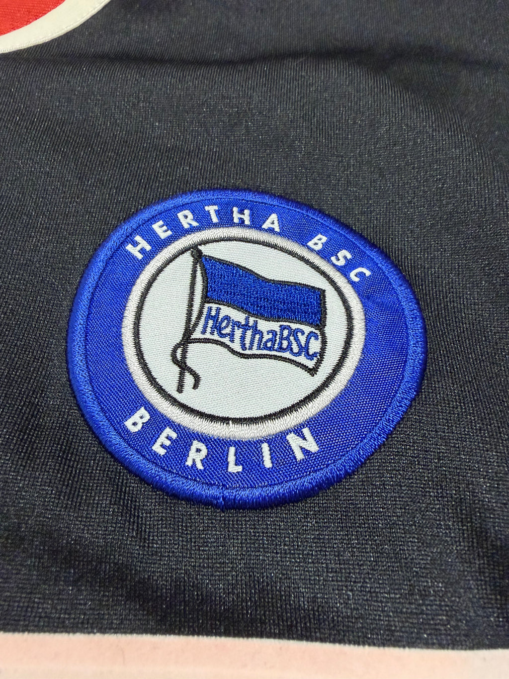 Hertha BSC 2001/2002
