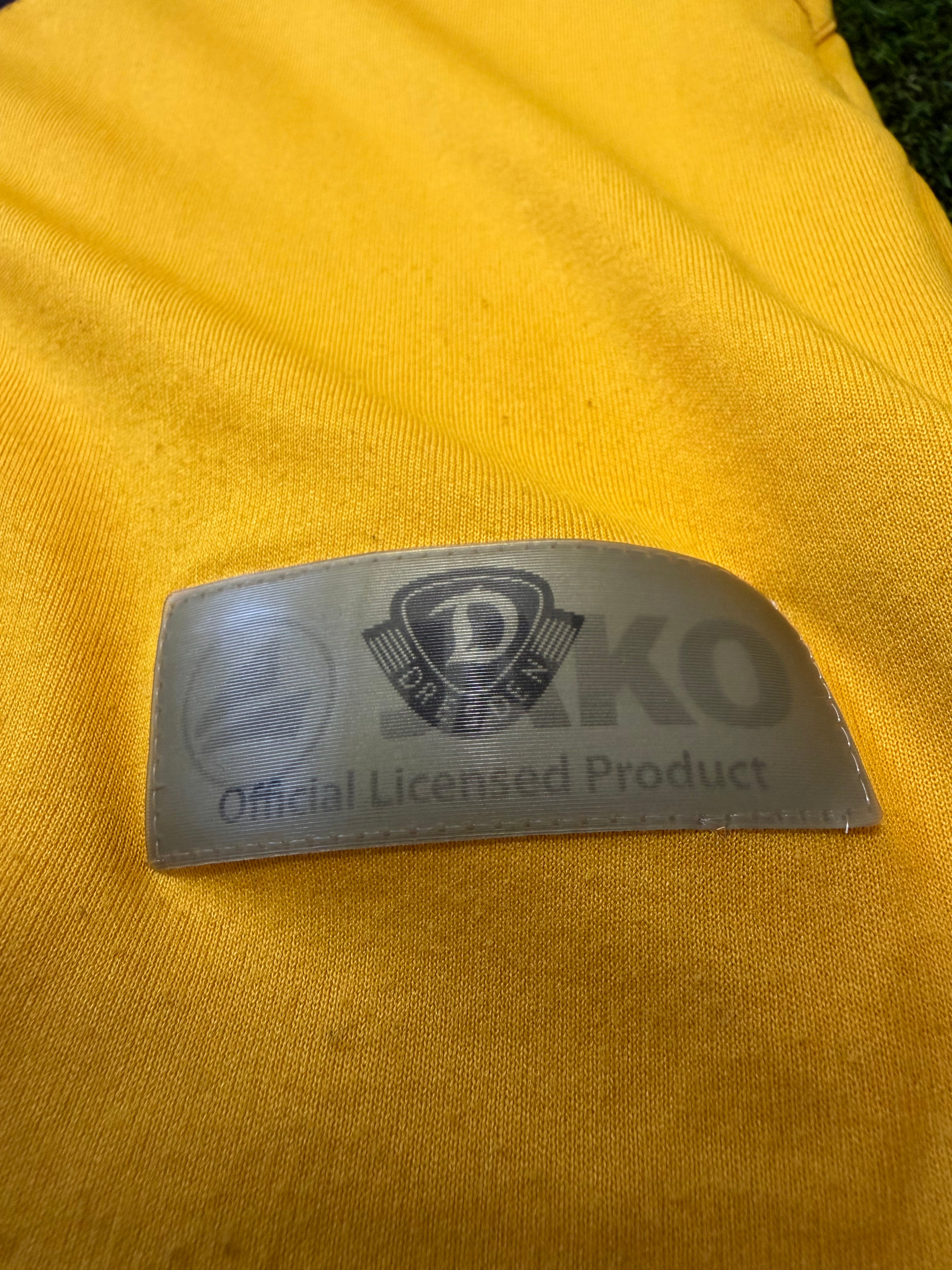 Dynamo Dresden 2009/2010