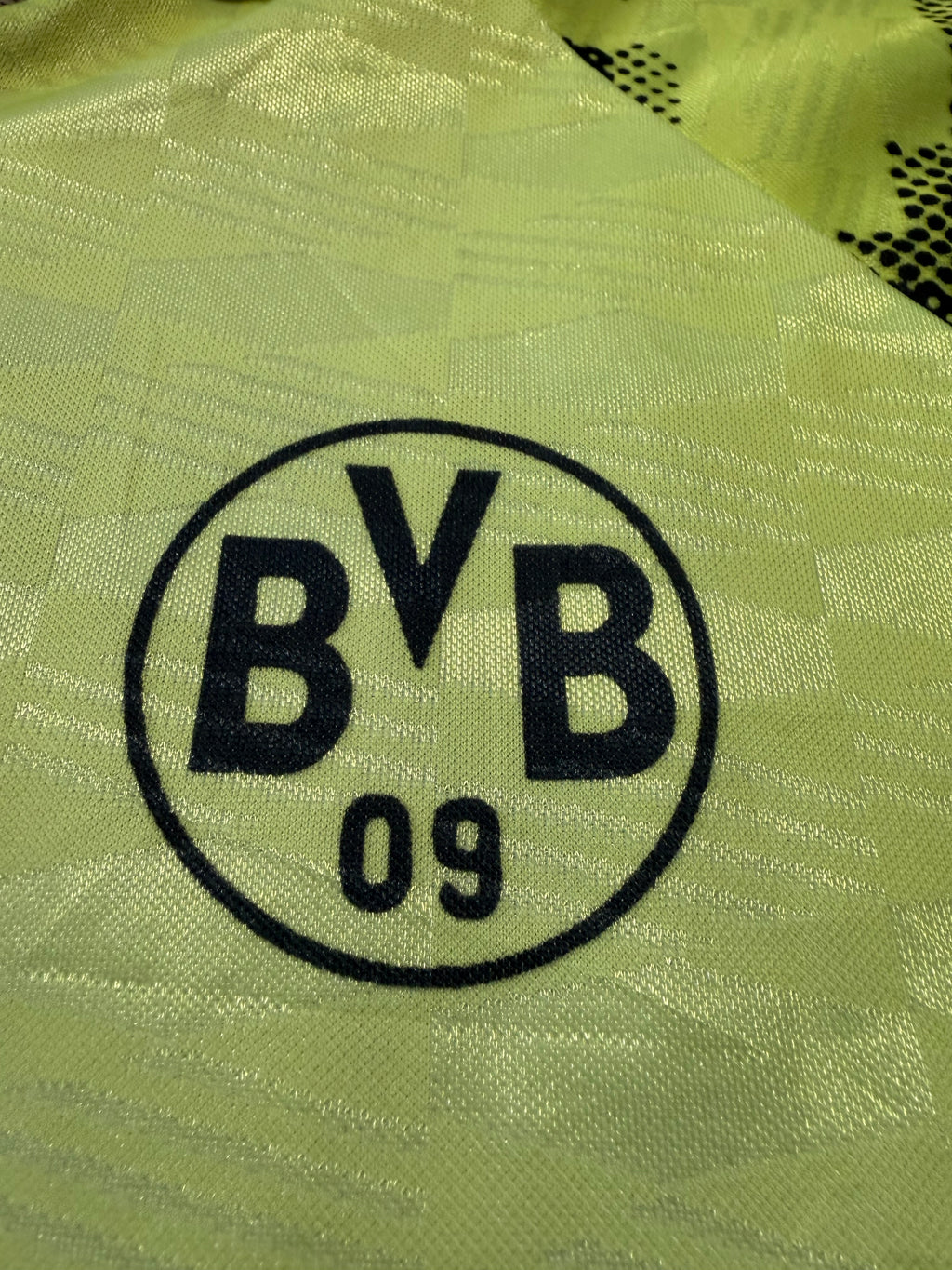 BVB Borussia Dortmund 1992/1993