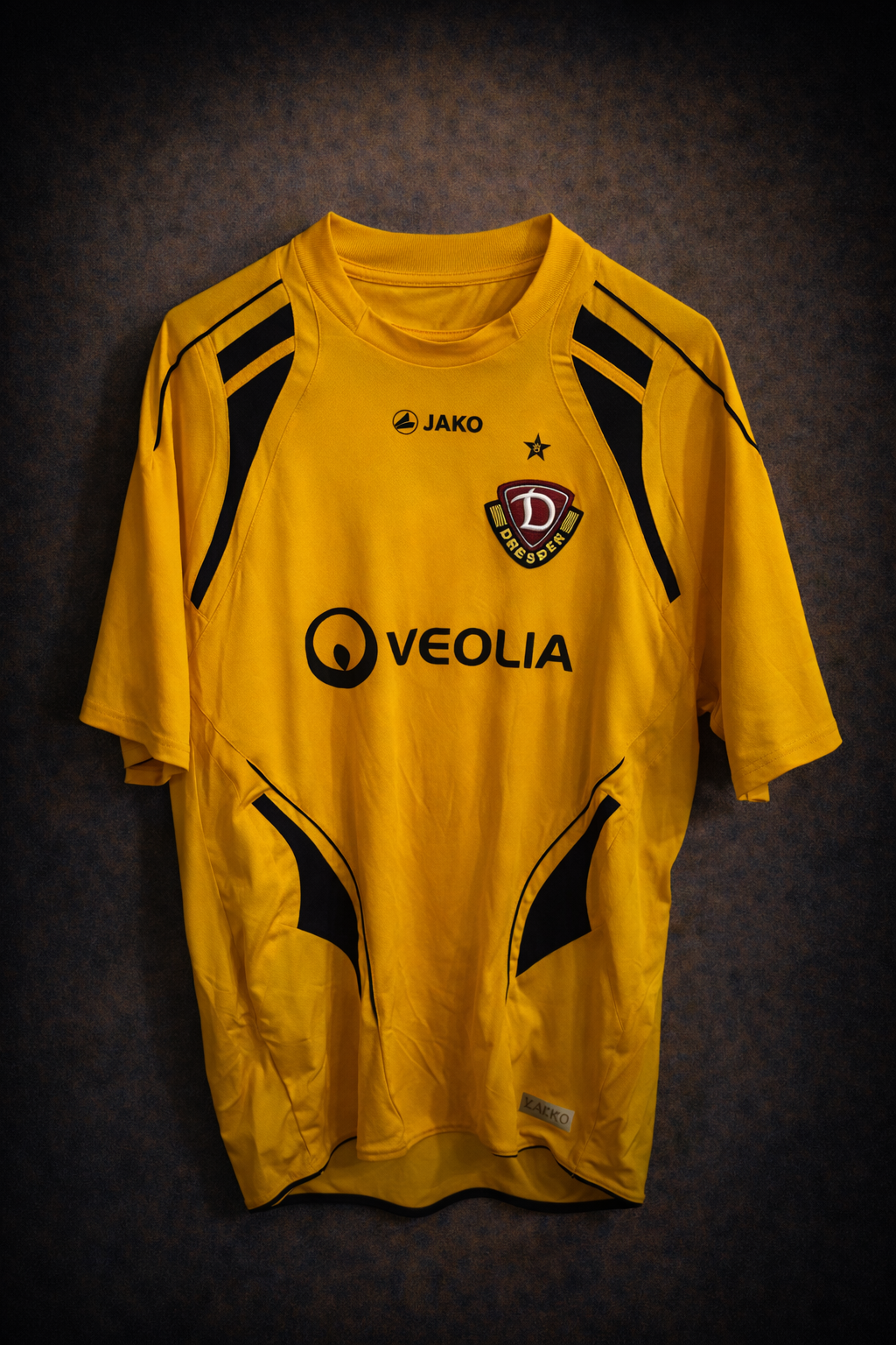 Dynamo Dresden 2009/2010