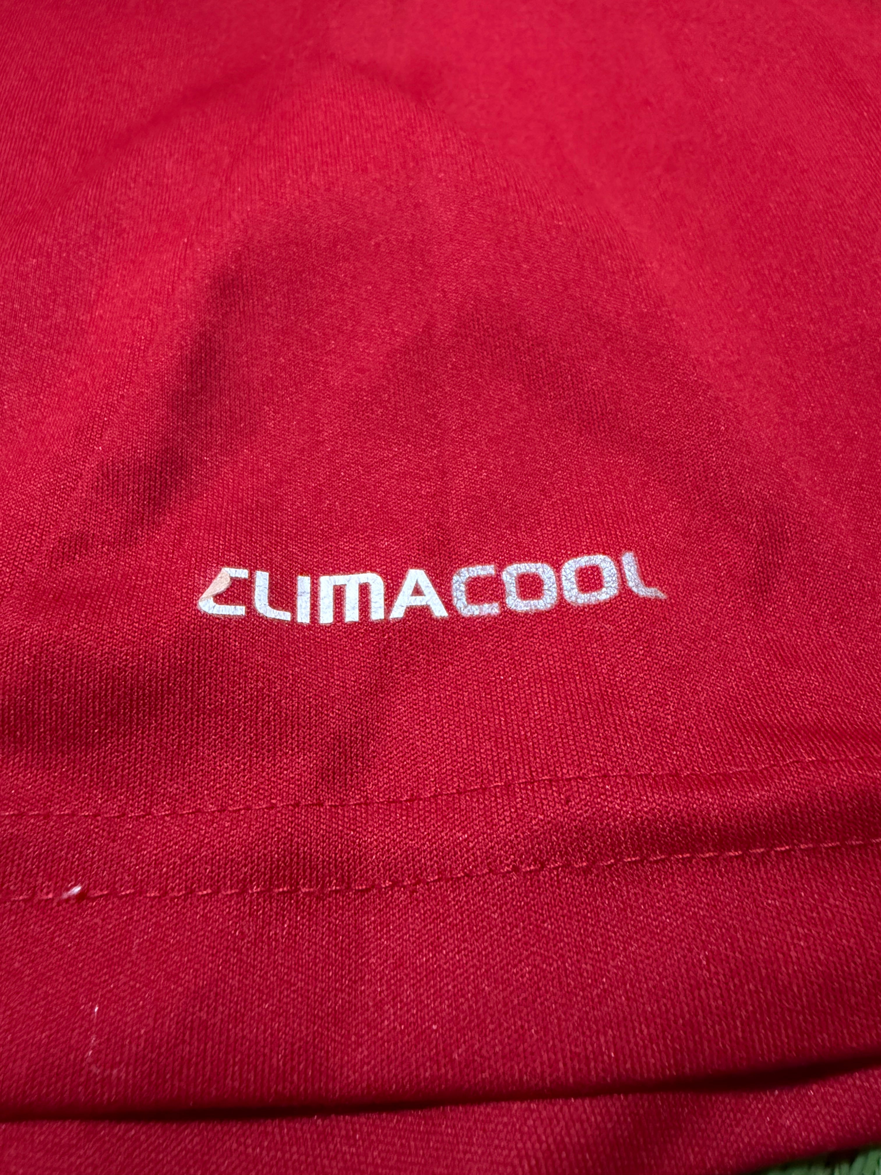 Spanien EM 2012 #7 David Villa