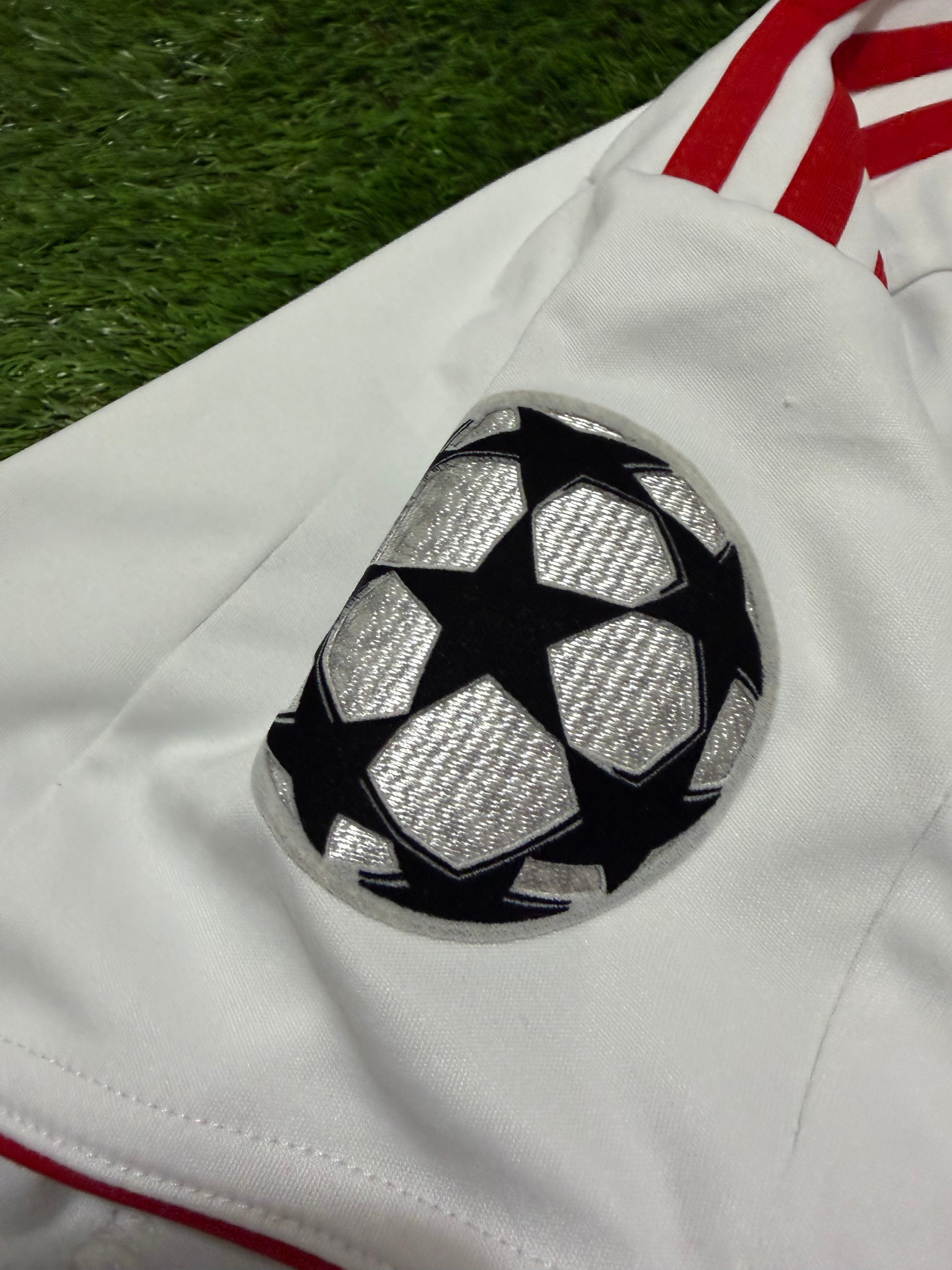 FC Bayern München 2008/2009