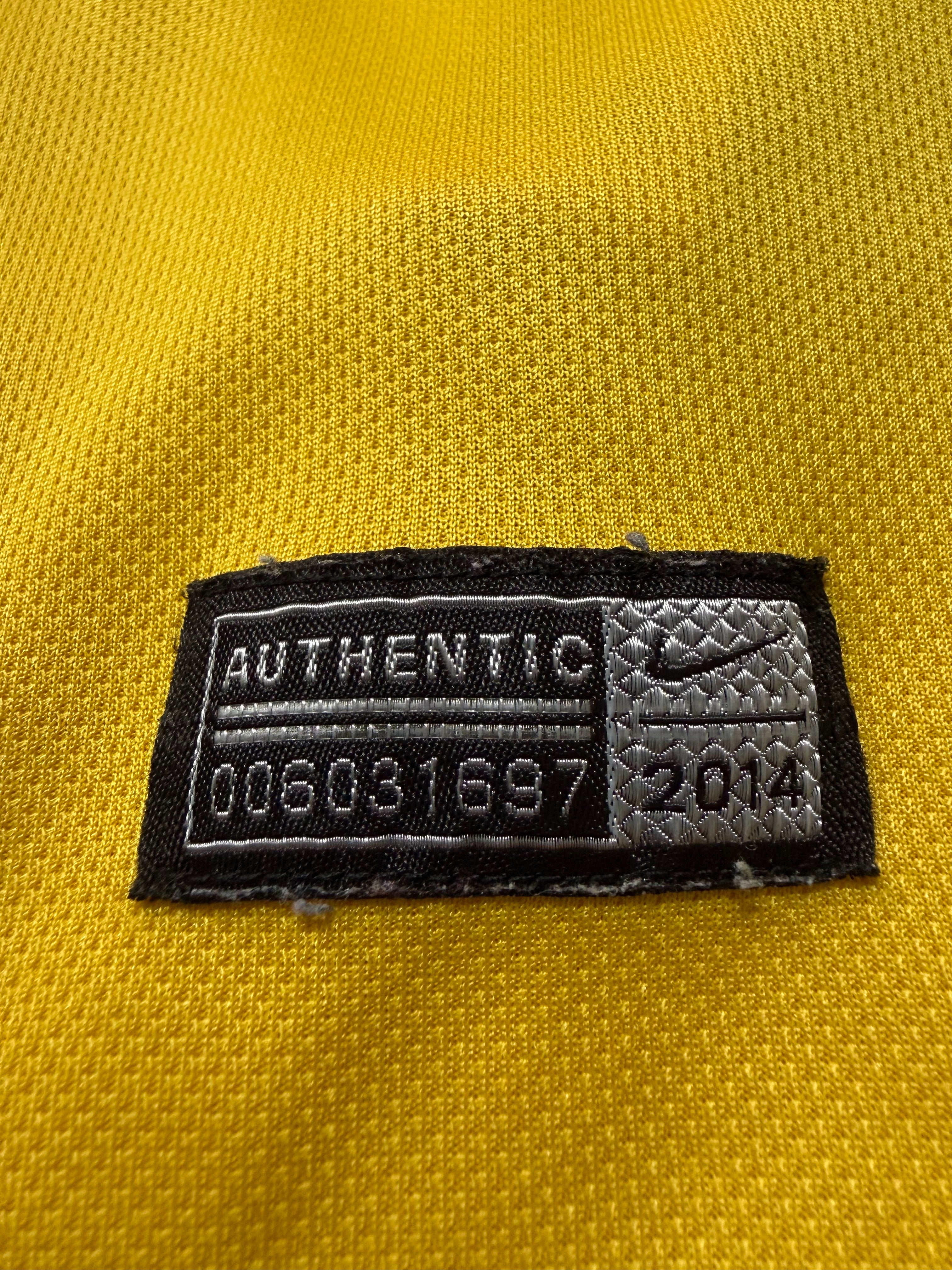 Brasilien WM 2014