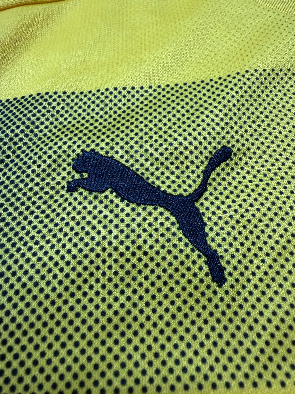 BVB Borussia Dortmund 2017/2018
