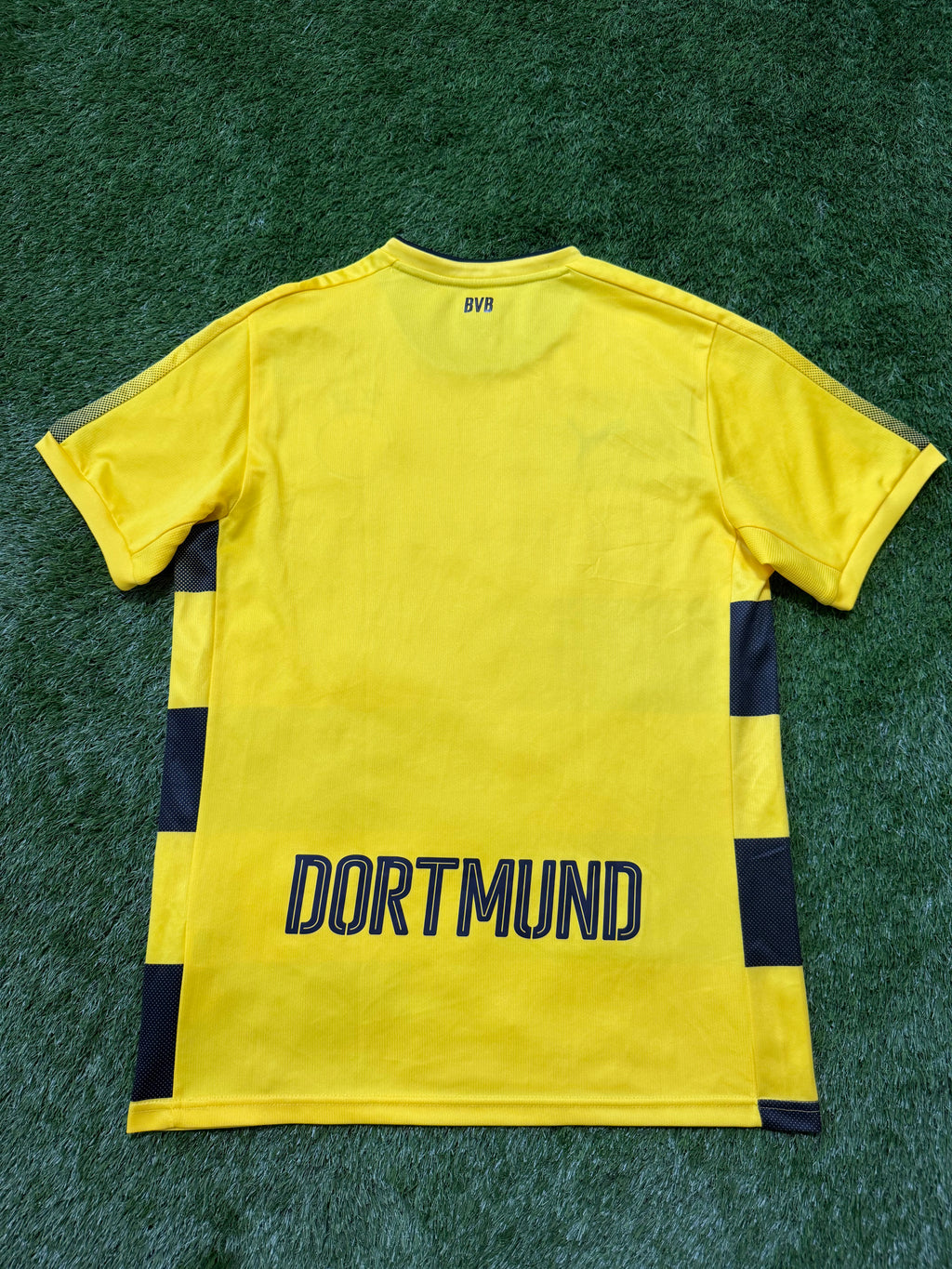 BVB Borussia Dortmund 2017/2018